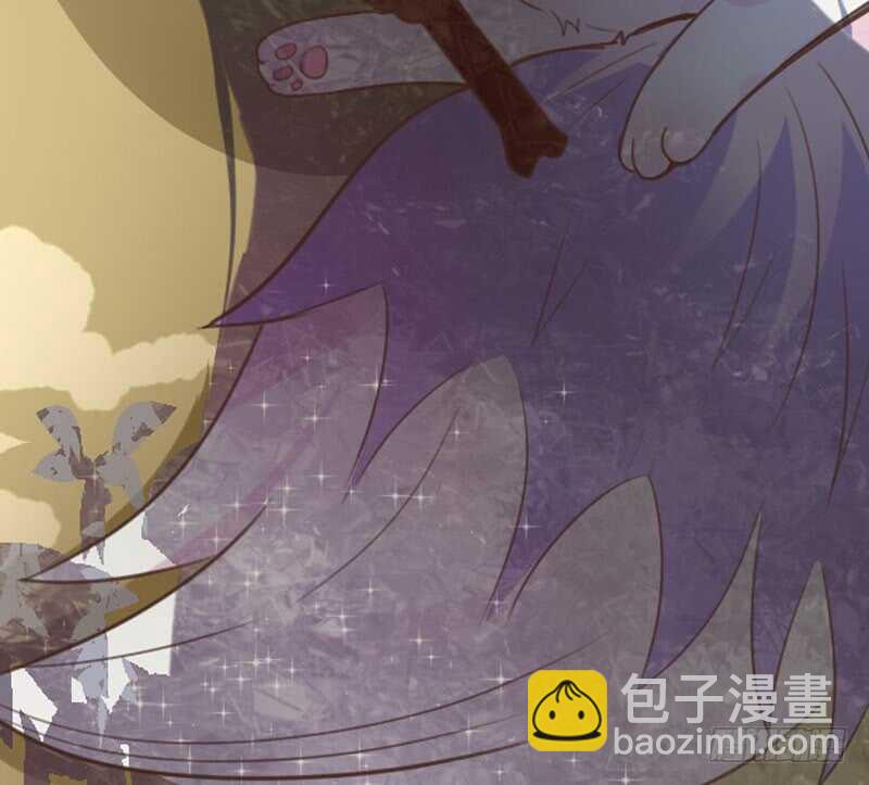 《神医弃女鬼帝的驭兽狂妃》第43话 太守府 第46页