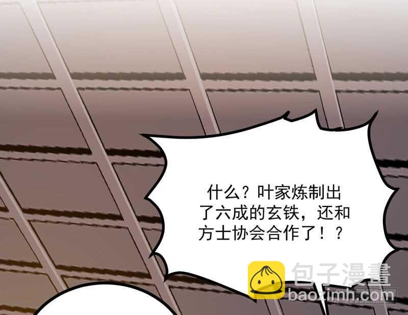 《神医弃女鬼帝的驭兽狂妃》第48话 叶家危机 第28页