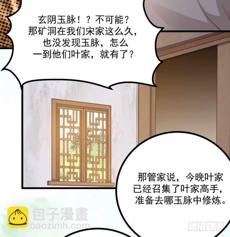 《神医弃女鬼帝的驭兽狂妃》第48话 叶家危机 第34页