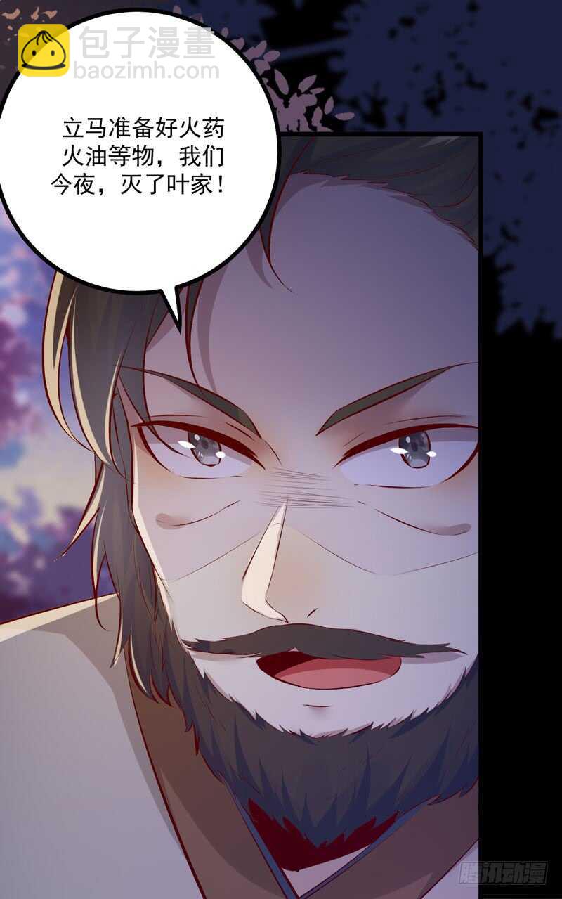 《神医弃女鬼帝的驭兽狂妃》第48话 叶家危机 第45页