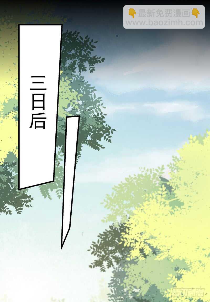 《神医弃女鬼帝的驭兽狂妃》第47话 赴约山海帮 第28页