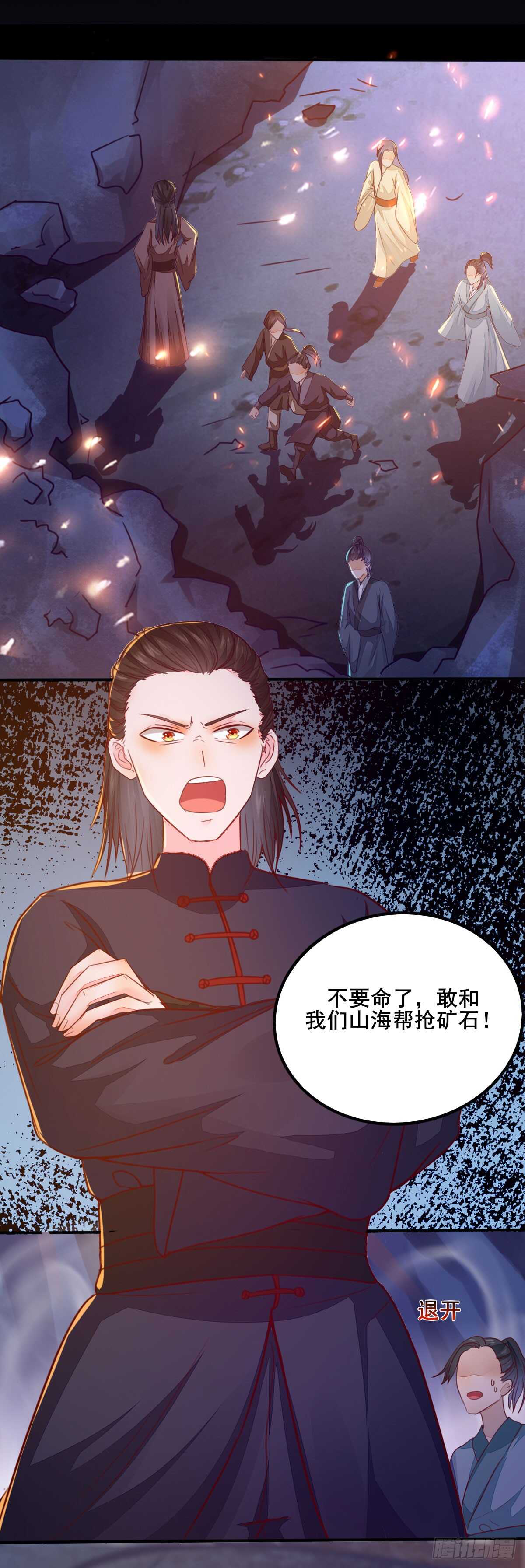 《神医弃女鬼帝的驭兽狂妃》第54话 挑选矿石 第27页