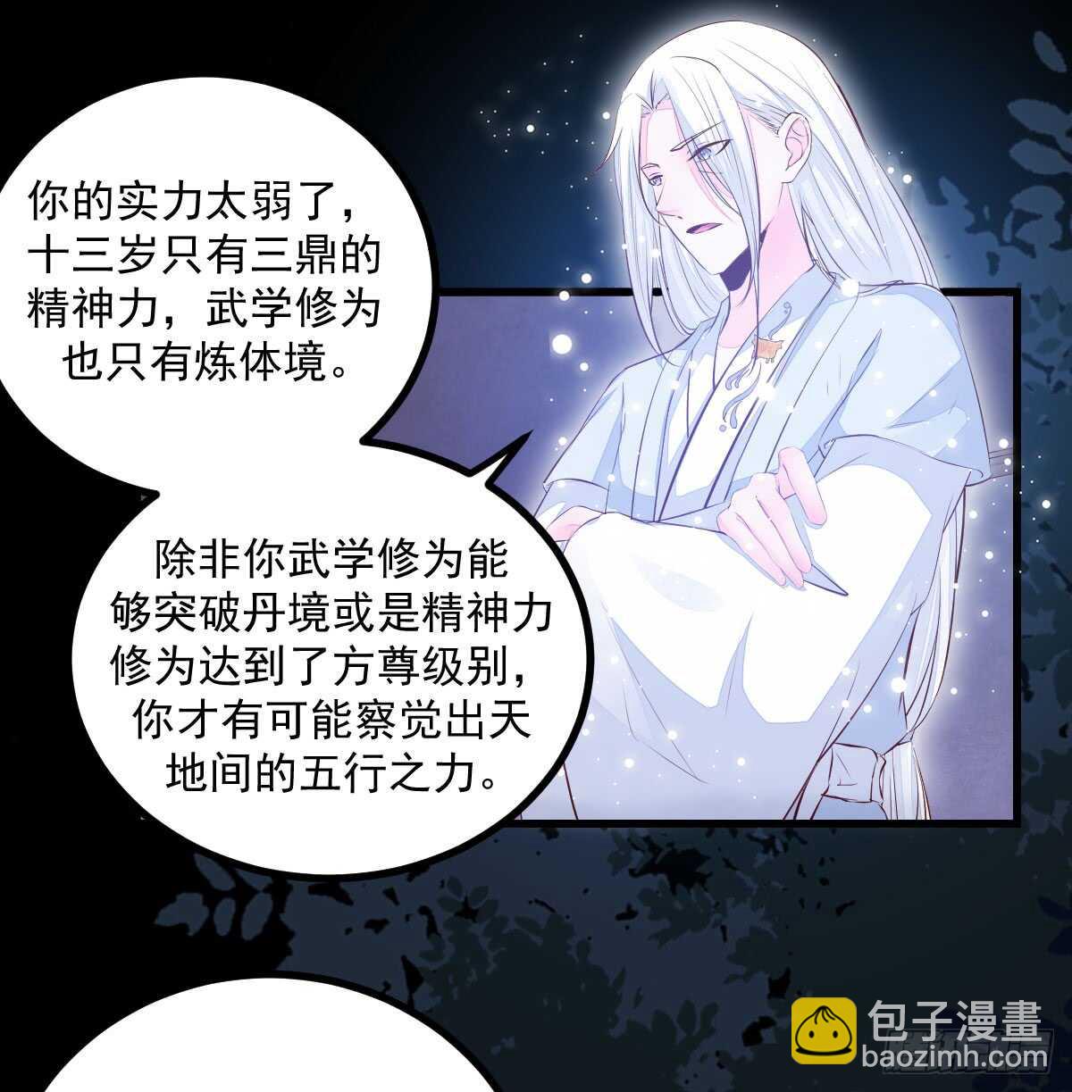 《神医弃女鬼帝的驭兽狂妃》第61话 五行之力 第11页