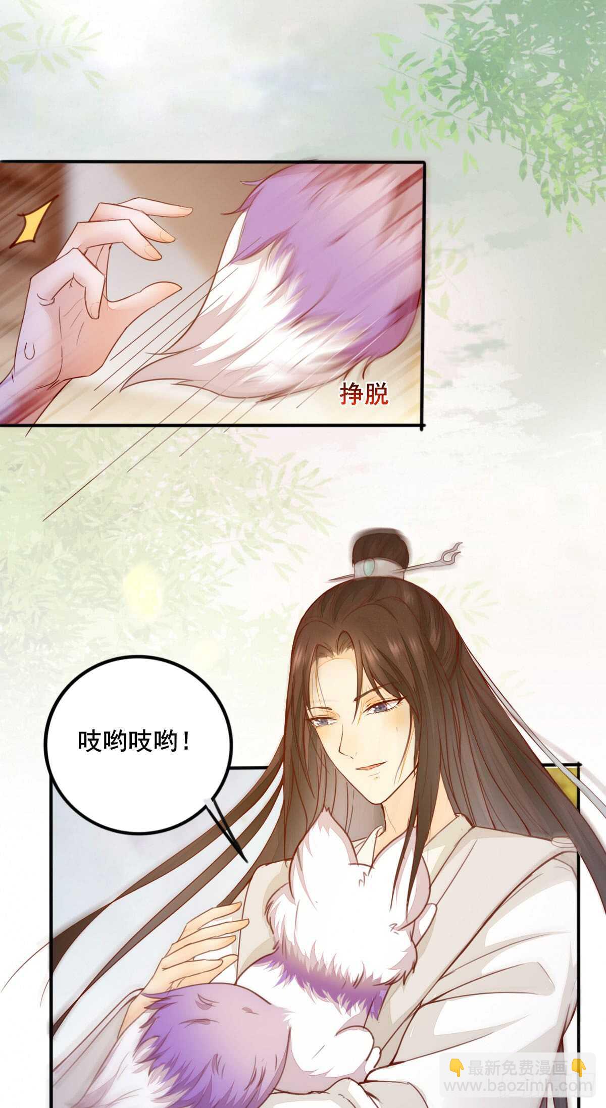 《神医弃女鬼帝的驭兽狂妃》第62话 凤王之威 第19页