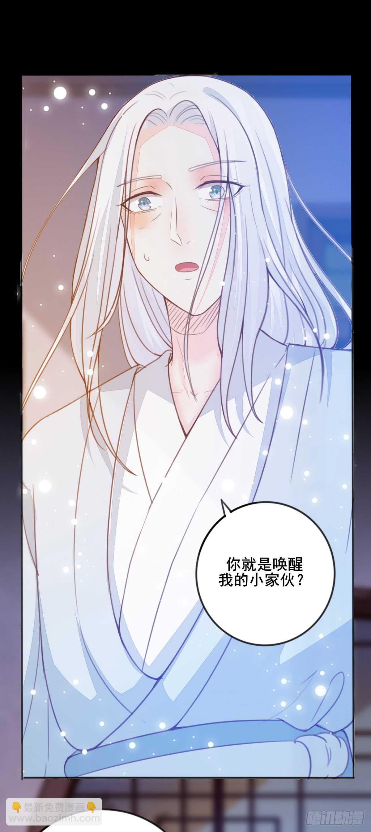 《神医弃女鬼帝的驭兽狂妃》第60话 太祖叶无名 第43页