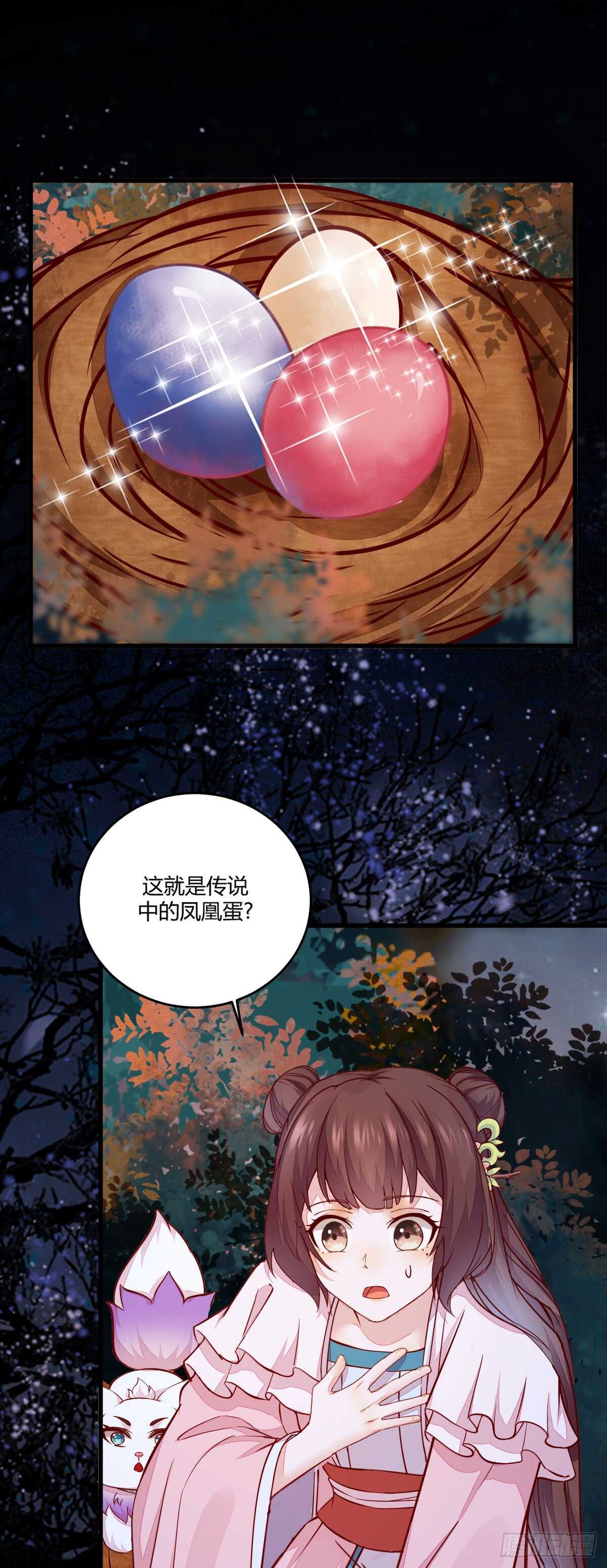 《神医弃女鬼帝的驭兽狂妃》第69话 凤凰发现盗蛋者 第12页