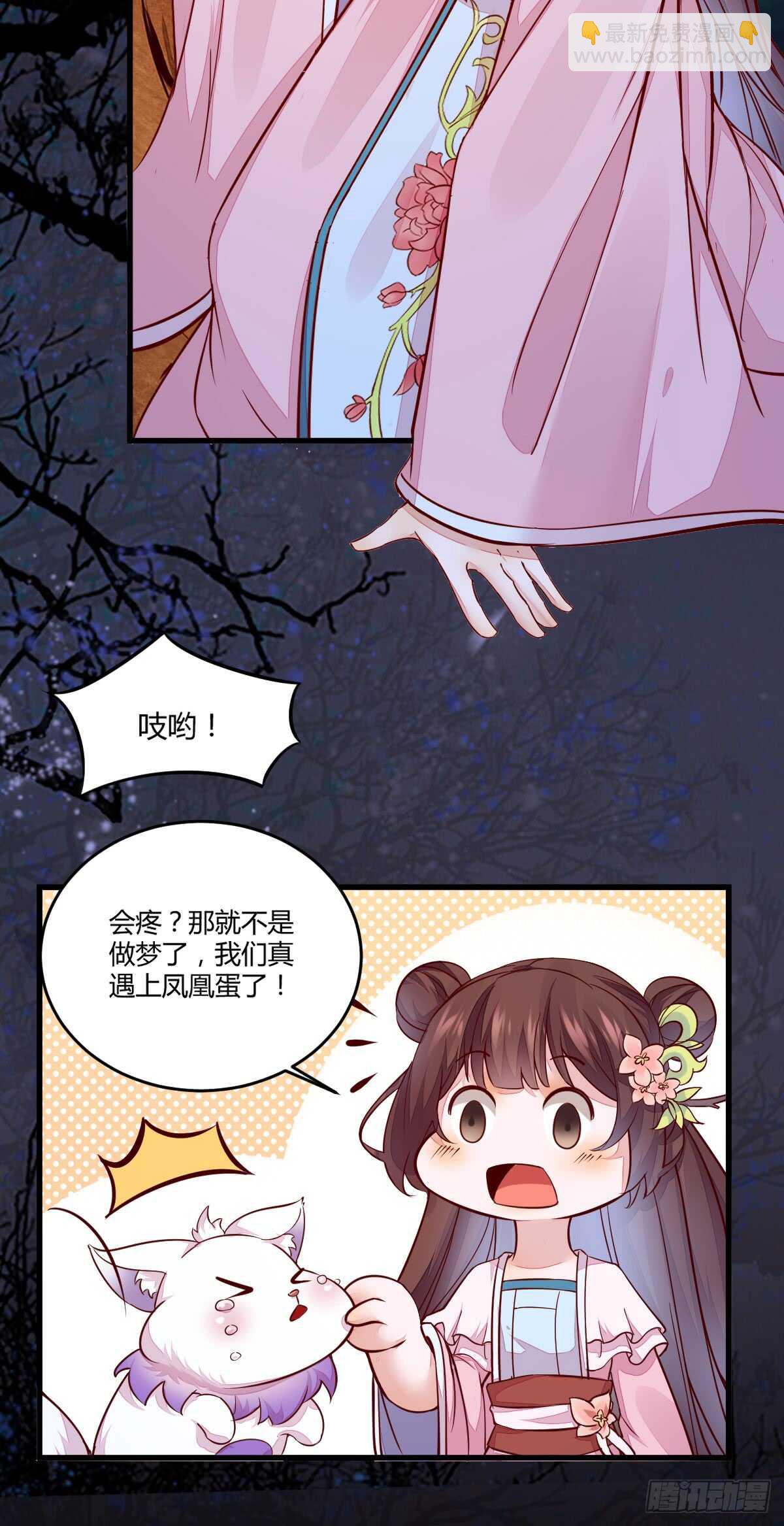 《神医弃女鬼帝的驭兽狂妃》第69话 凤凰发现盗蛋者 第13页