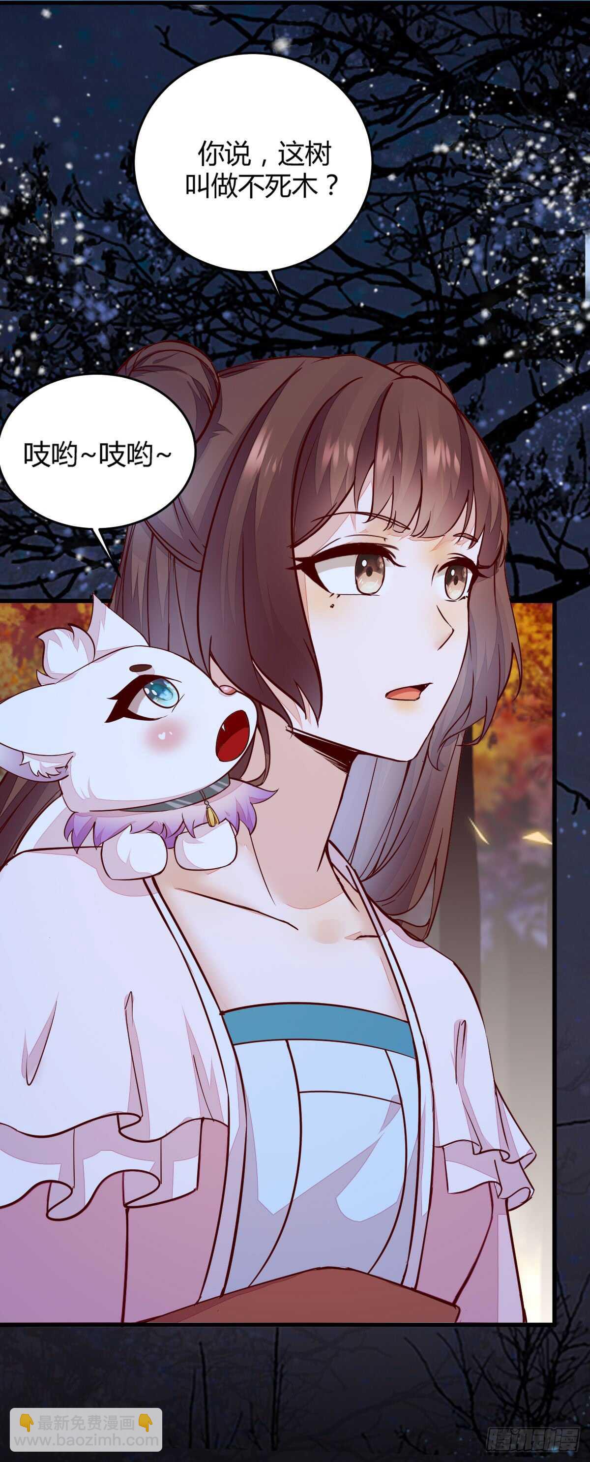 《神医弃女鬼帝的驭兽狂妃》第69话 凤凰发现盗蛋者 第3页