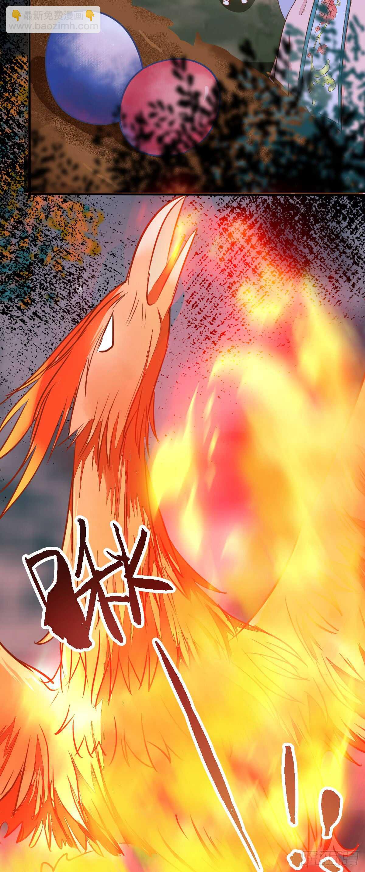 《神医弃女鬼帝的驭兽狂妃》第69话 凤凰发现盗蛋者 第43页