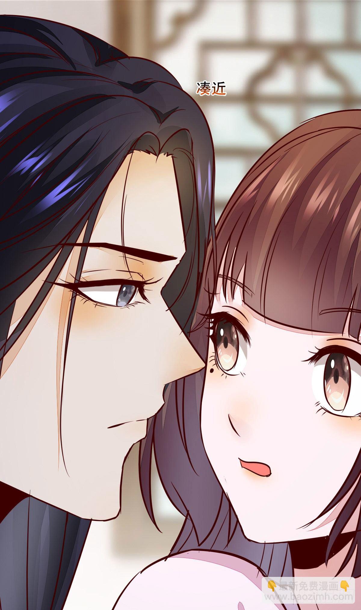 《神医弃女鬼帝的驭兽狂妃》番外 第11页