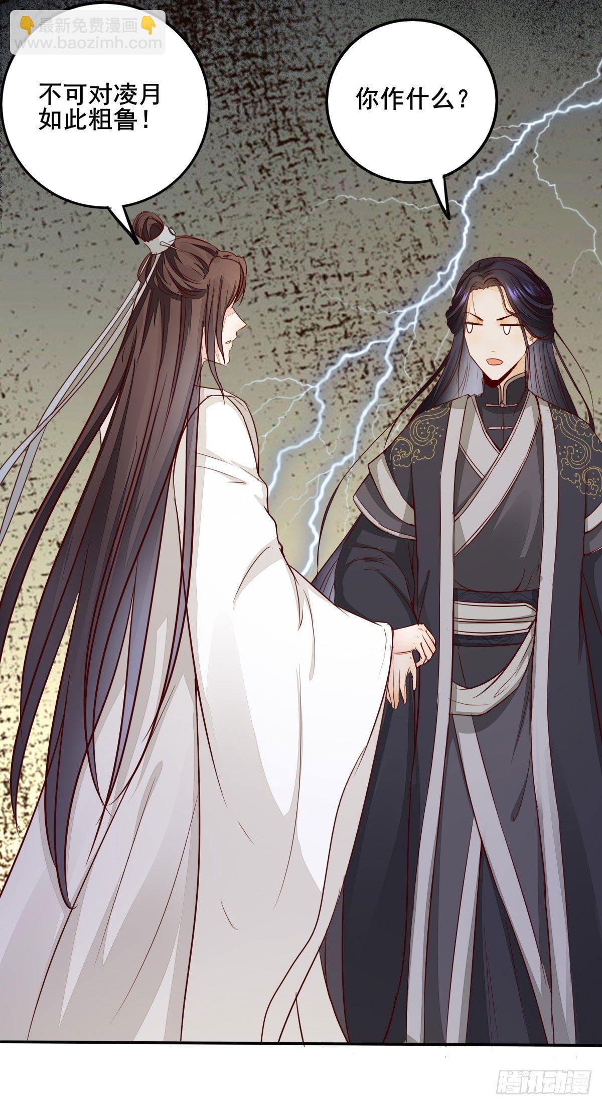 《神医弃女鬼帝的驭兽狂妃》番外 第13页