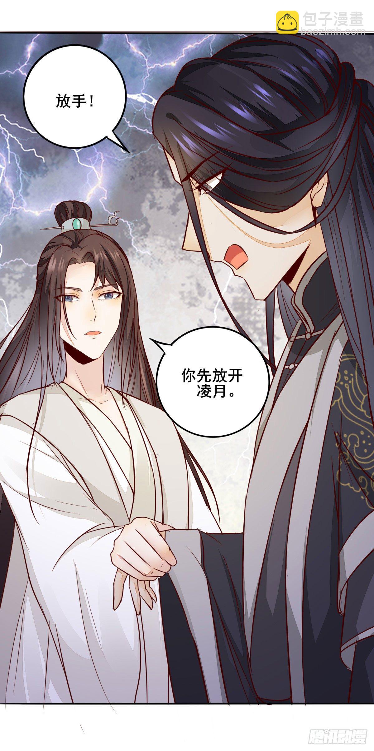 《神医弃女鬼帝的驭兽狂妃》番外 第14页