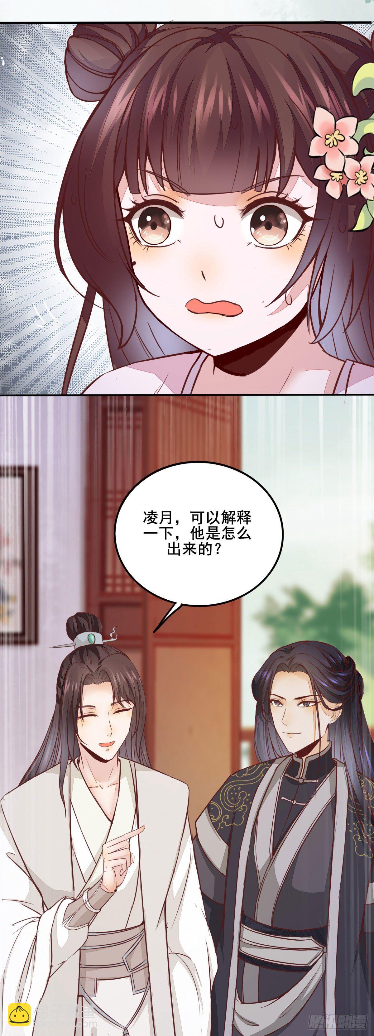 《神医弃女鬼帝的驭兽狂妃》番外 第6页