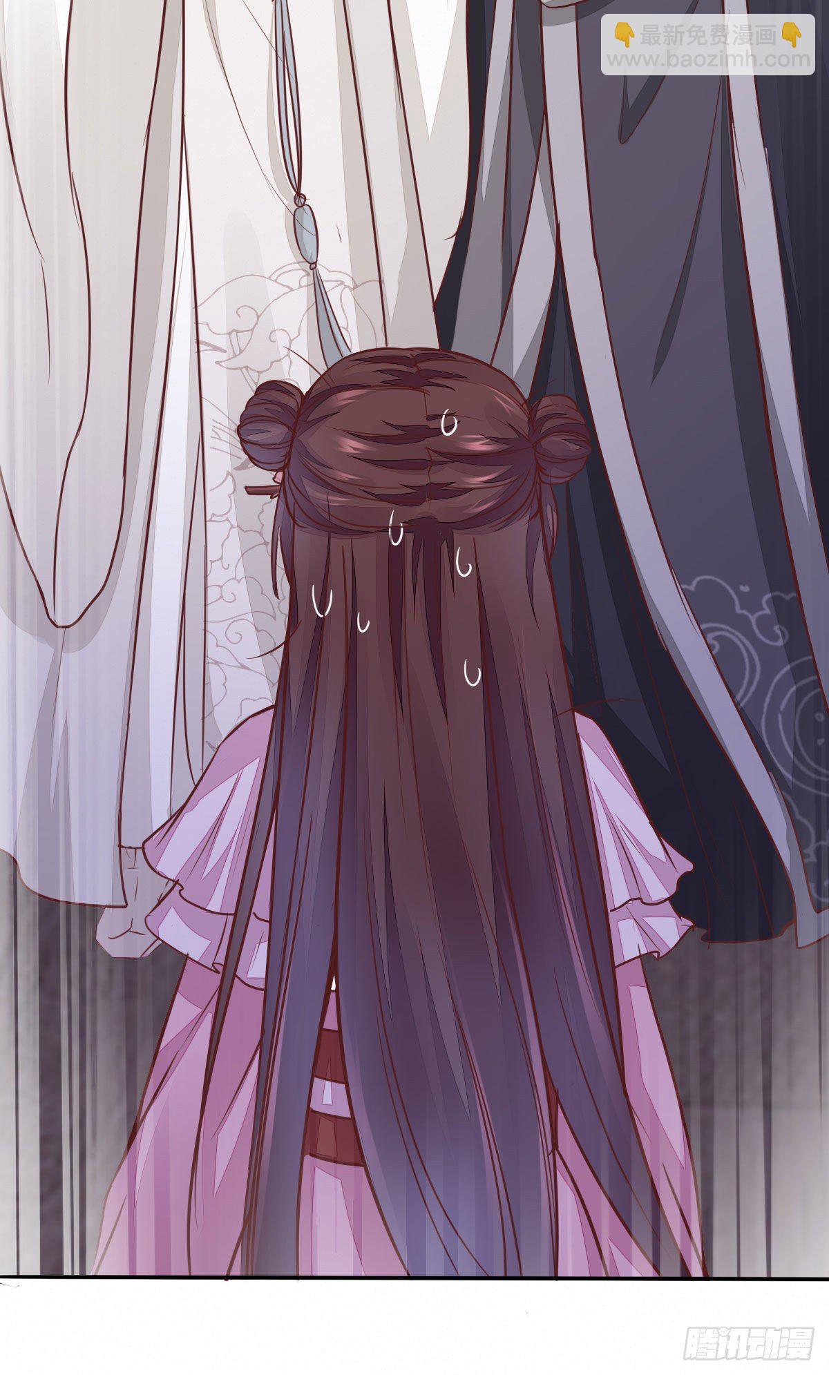 《神医弃女鬼帝的驭兽狂妃》番外 第7页