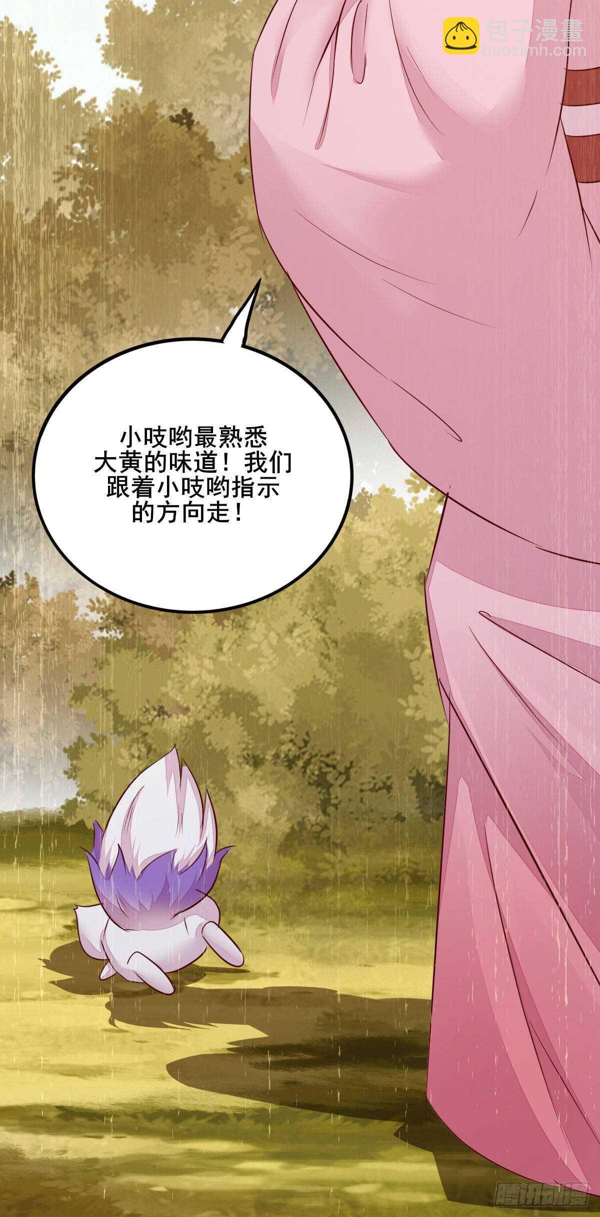 《神医弃女鬼帝的驭兽狂妃》第73话 我只对你耍流氓 第41页