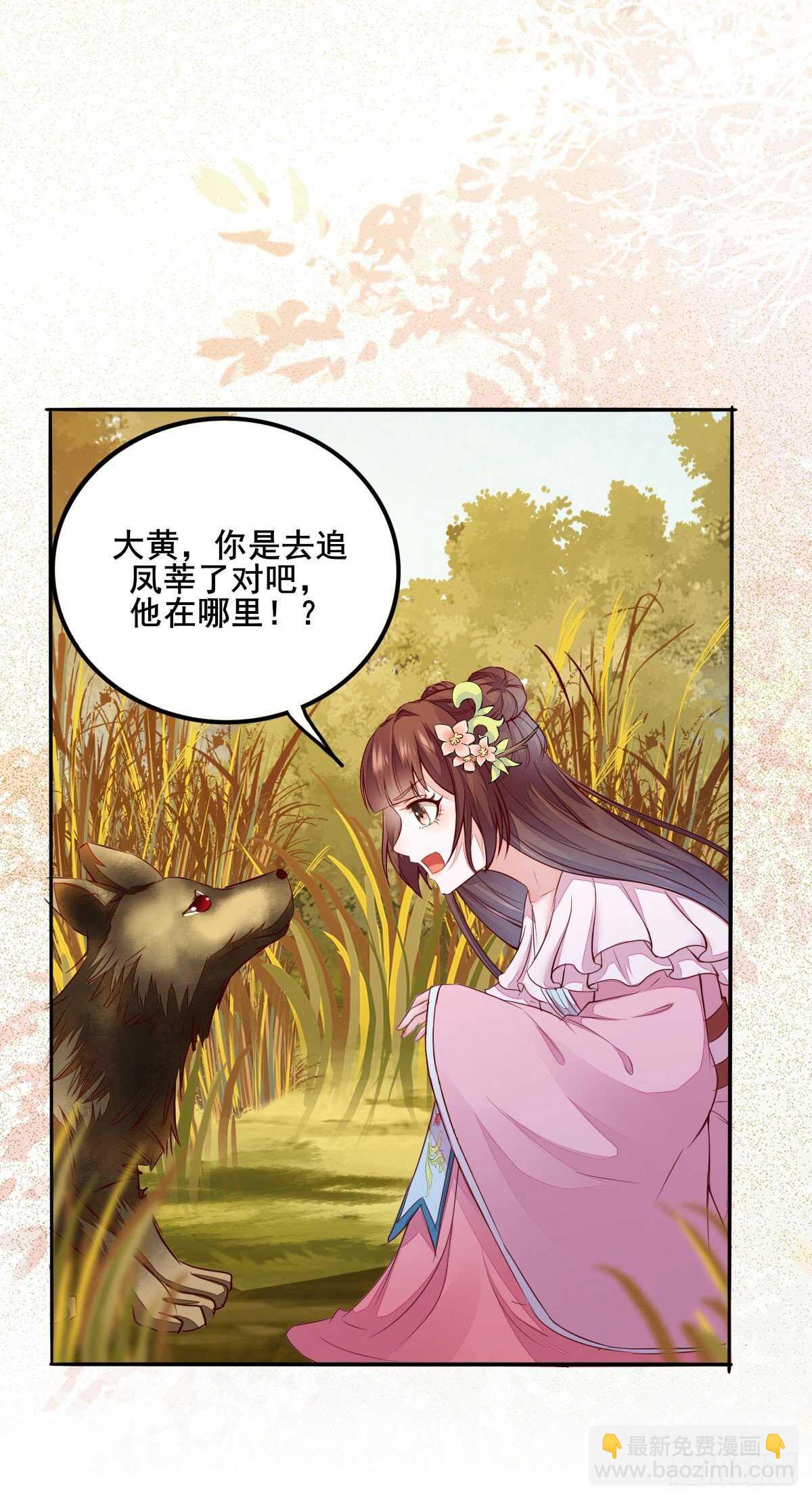 《神医弃女鬼帝的驭兽狂妃》第73话 我只对你耍流氓 第43页