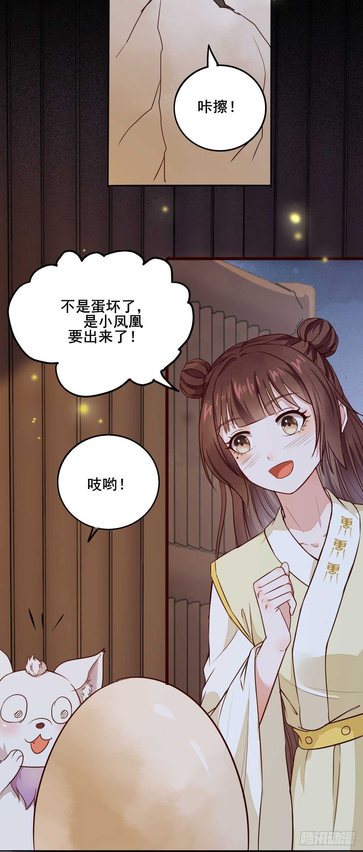 《神医弃女鬼帝的驭兽狂妃》第89话凤凰变乌鸦 第14页