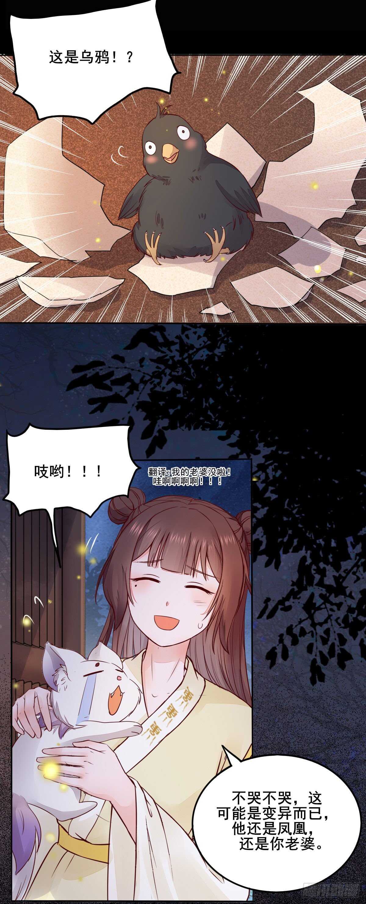 《神医弃女鬼帝的驭兽狂妃》第89话凤凰变乌鸦 第17页