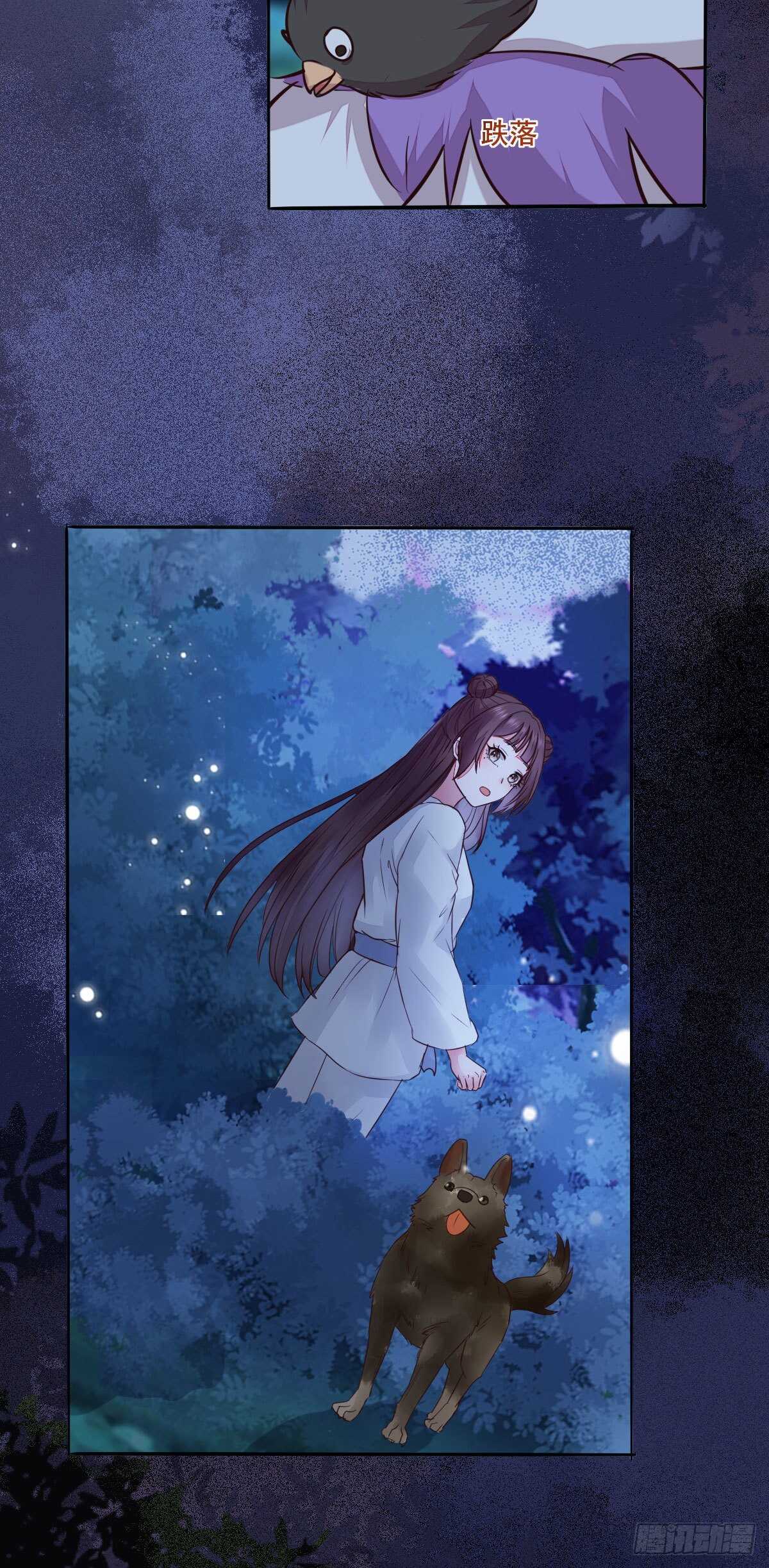 《神医弃女鬼帝的驭兽狂妃》第96话千面凤凰 第10页