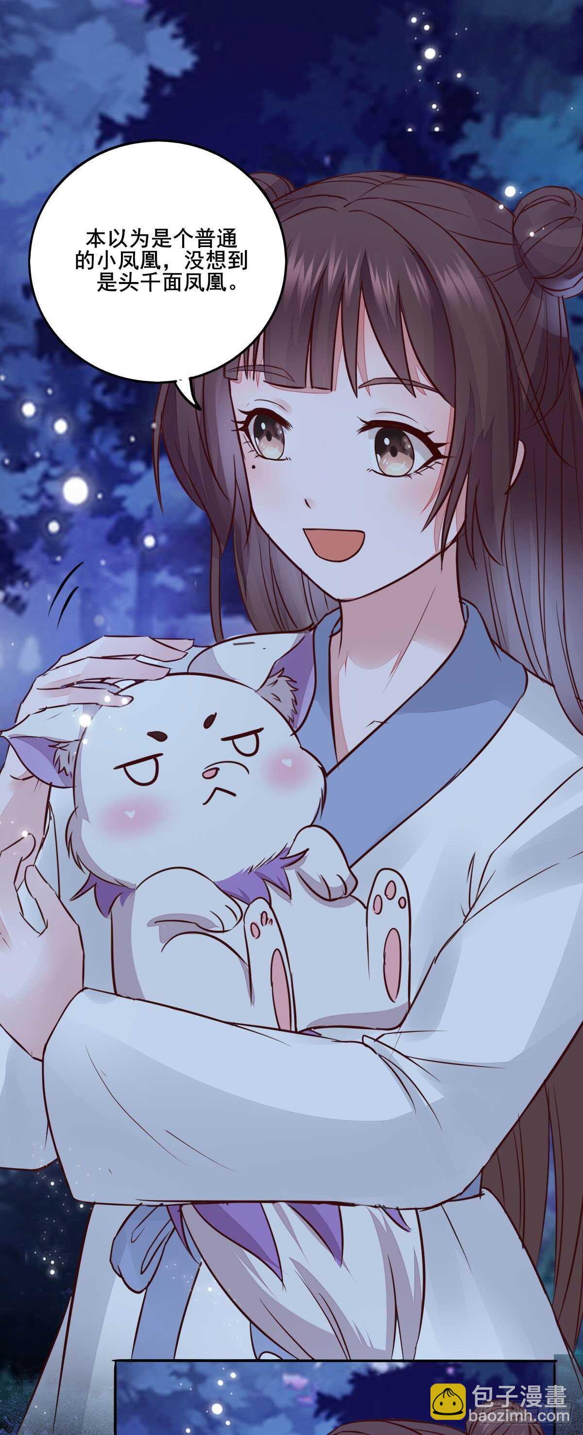 《神医弃女鬼帝的驭兽狂妃》第96话千面凤凰 第13页