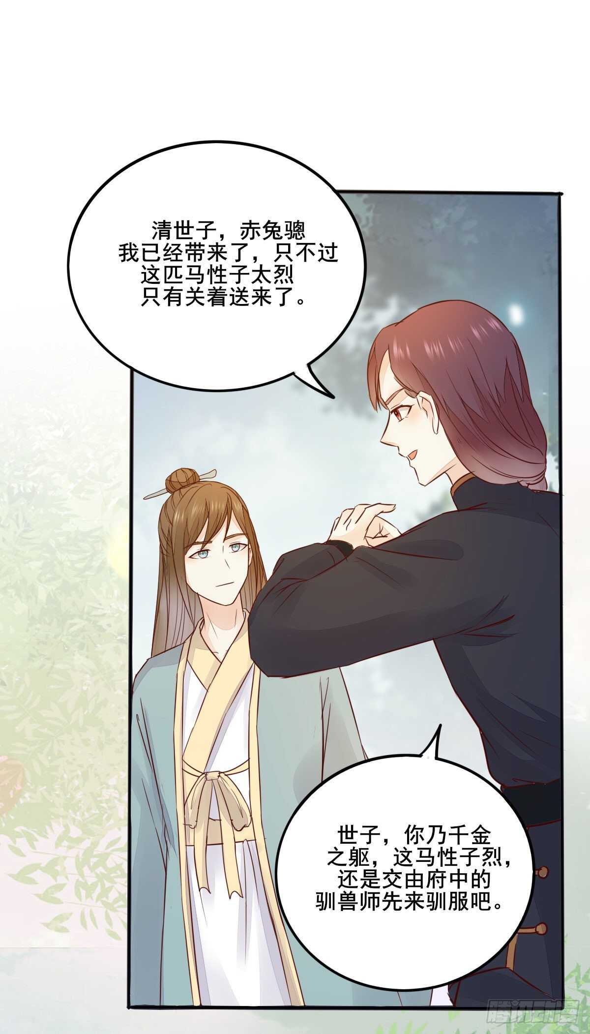 《神医弃女鬼帝的驭兽狂妃》第96话千面凤凰 第24页