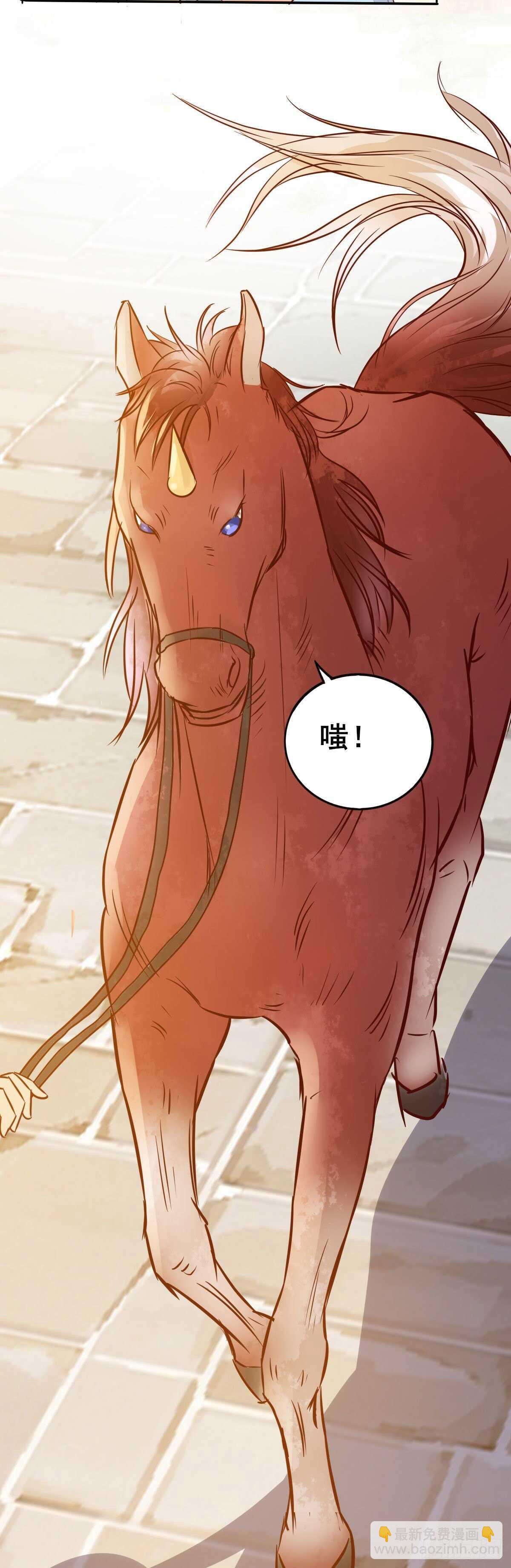 《神医弃女鬼帝的驭兽狂妃》第96话千面凤凰 第26页