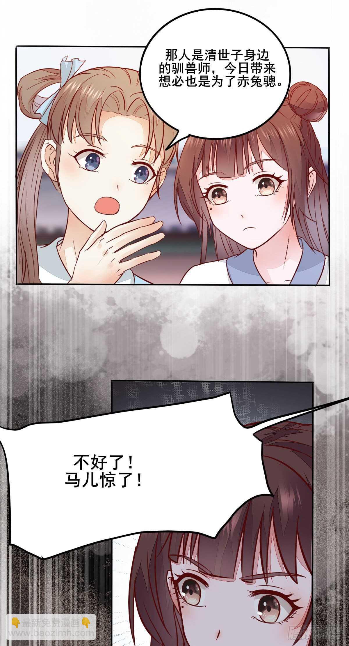 《神医弃女鬼帝的驭兽狂妃》第96话千面凤凰 第27页