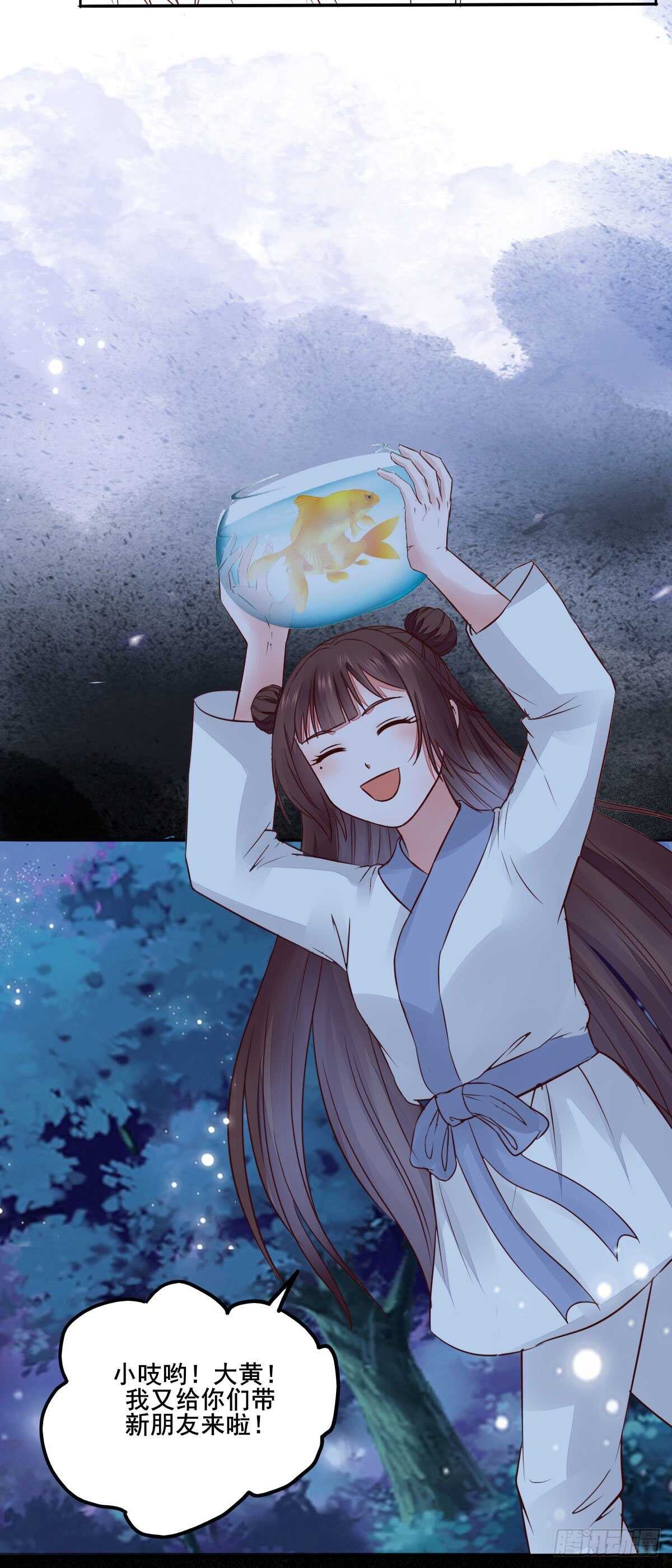 《神医弃女鬼帝的驭兽狂妃》第96话千面凤凰 第4页