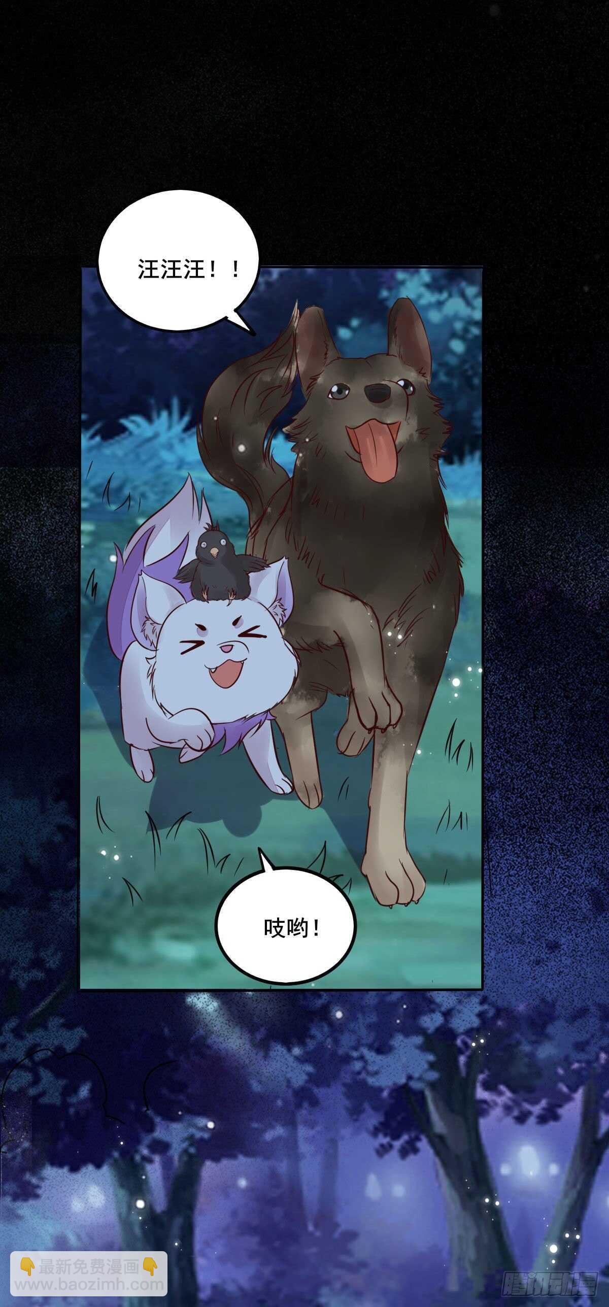 《神医弃女鬼帝的驭兽狂妃》第96话千面凤凰 第5页