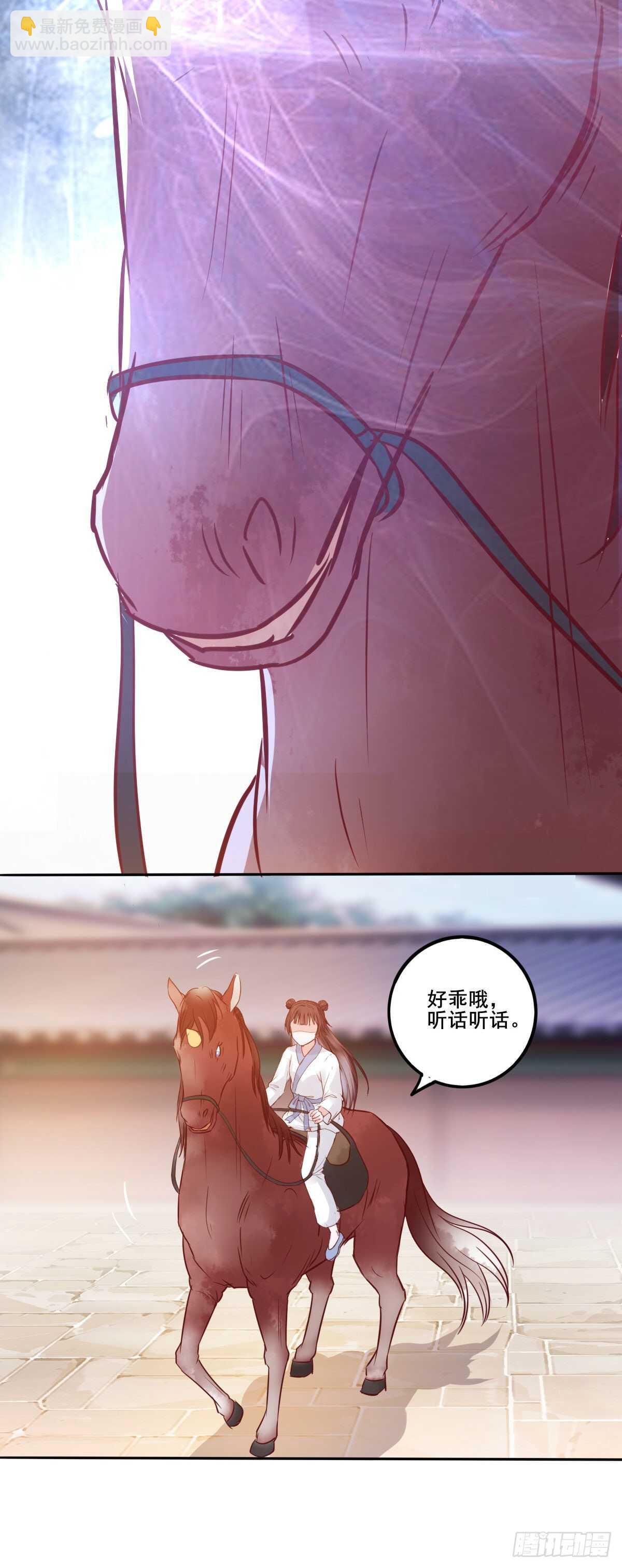 《神医弃女鬼帝的驭兽狂妃》第97话五品宝马 第20页
