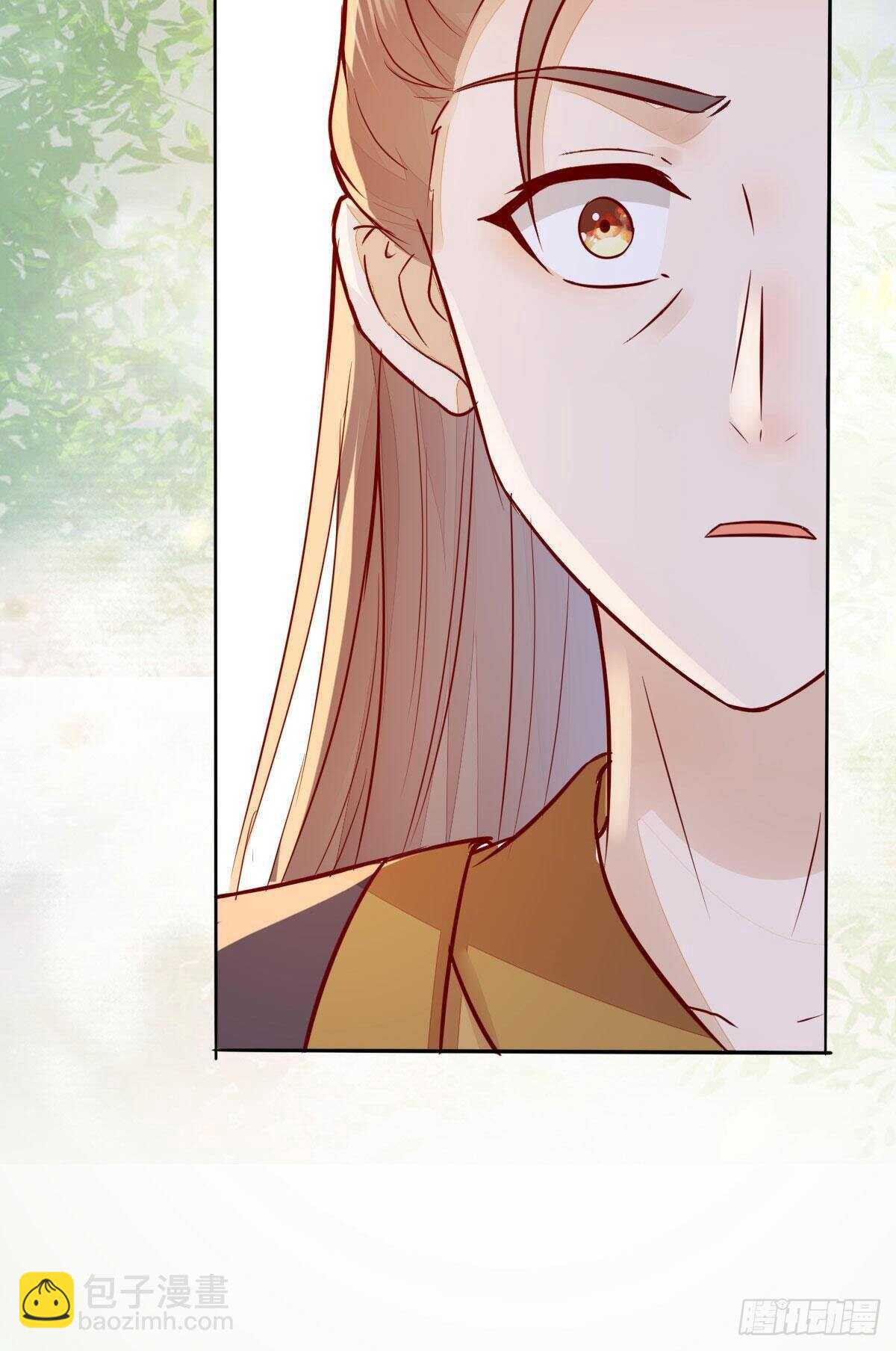 《神医弃女鬼帝的驭兽狂妃》第100话 又多了一重身份 第20页