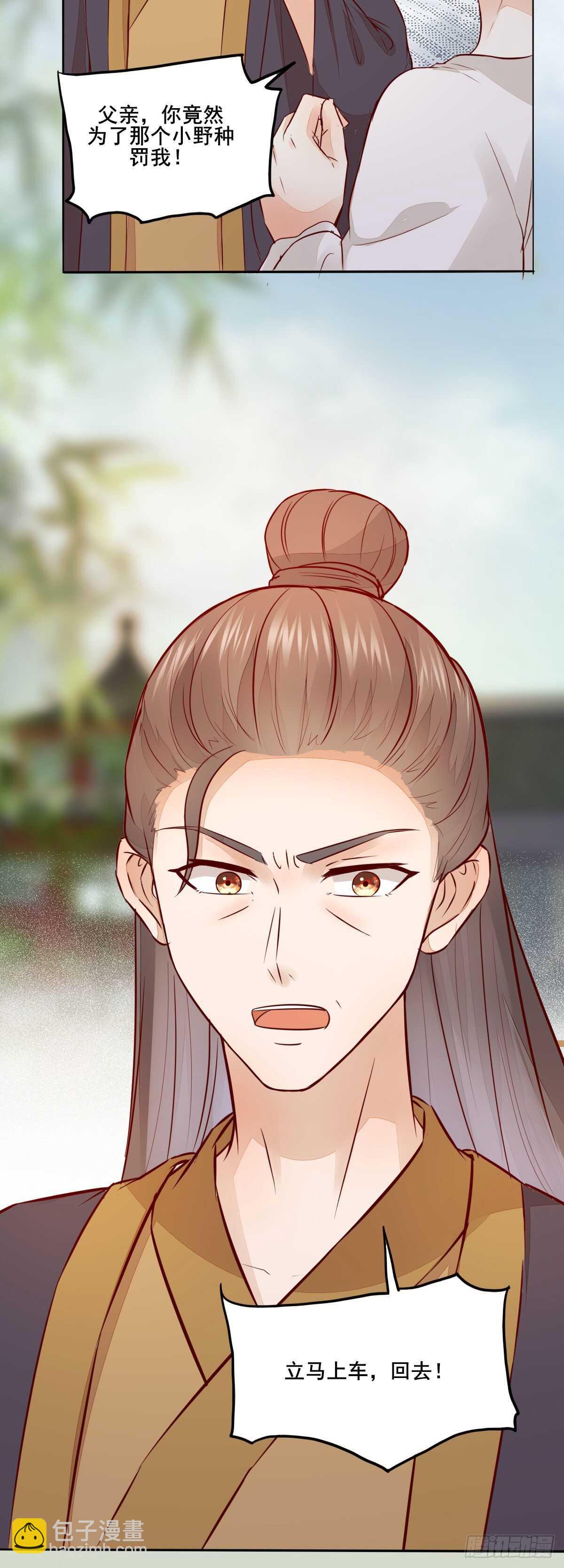《神医弃女鬼帝的驭兽狂妃》第100话 又多了一重身份 第22页