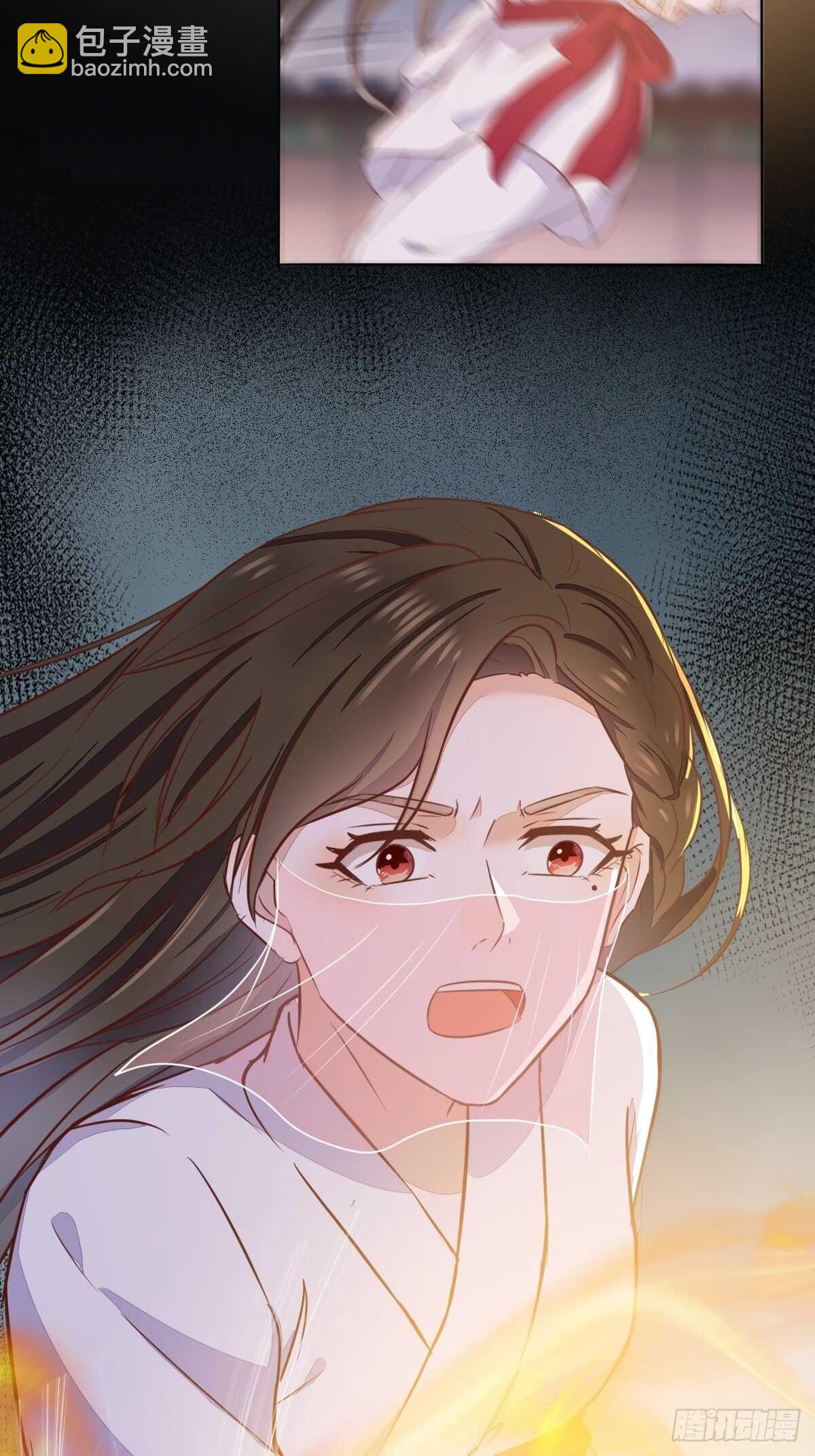 《神医弃女鬼帝的驭兽狂妃》第101话 叶母被追杀 第11页