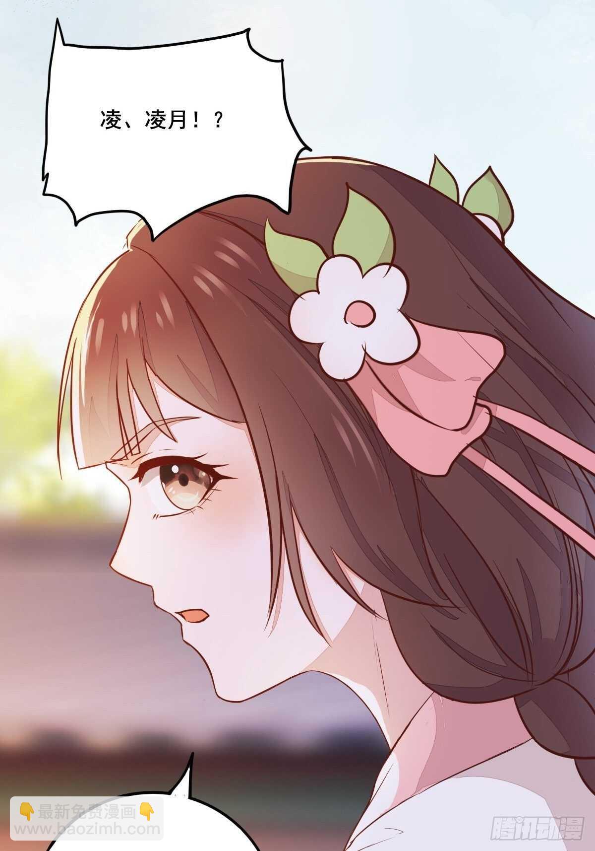 《神医弃女鬼帝的驭兽狂妃》第101话 叶母被追杀 第25页