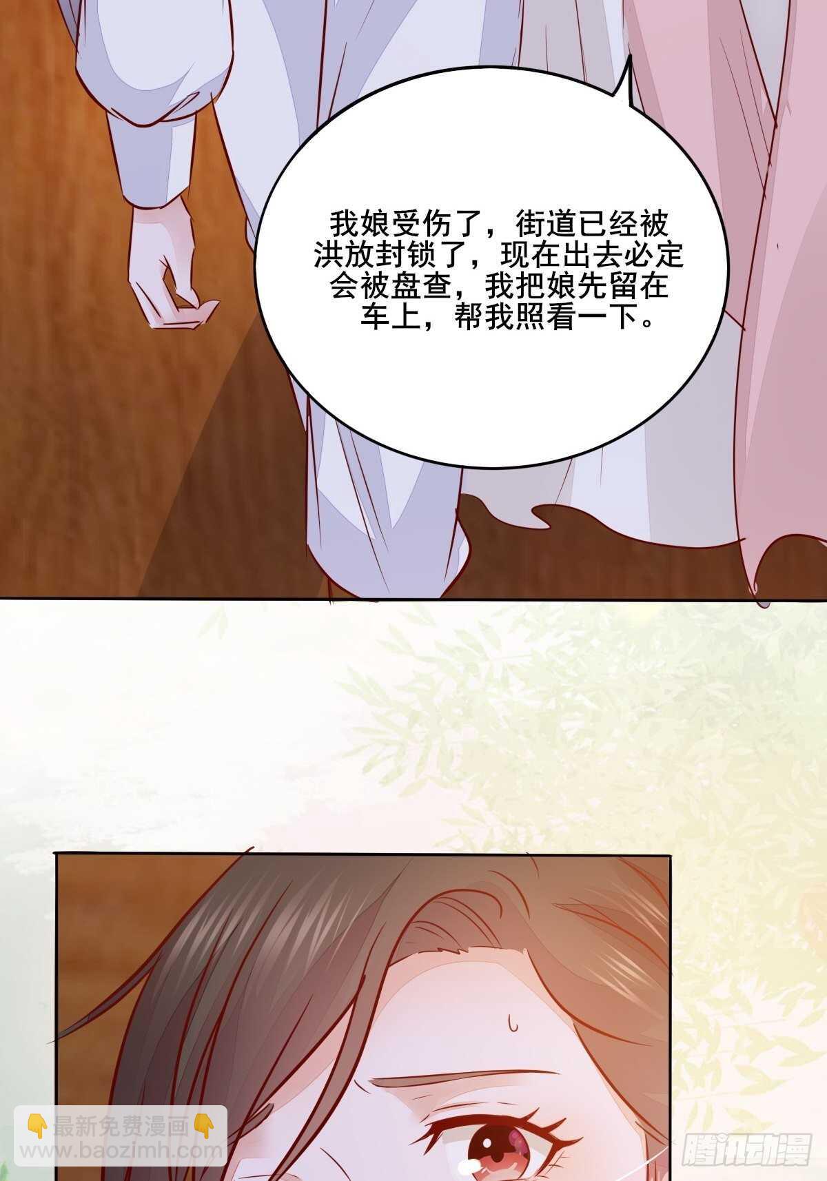 《神医弃女鬼帝的驭兽狂妃》第101话 叶母被追杀 第28页