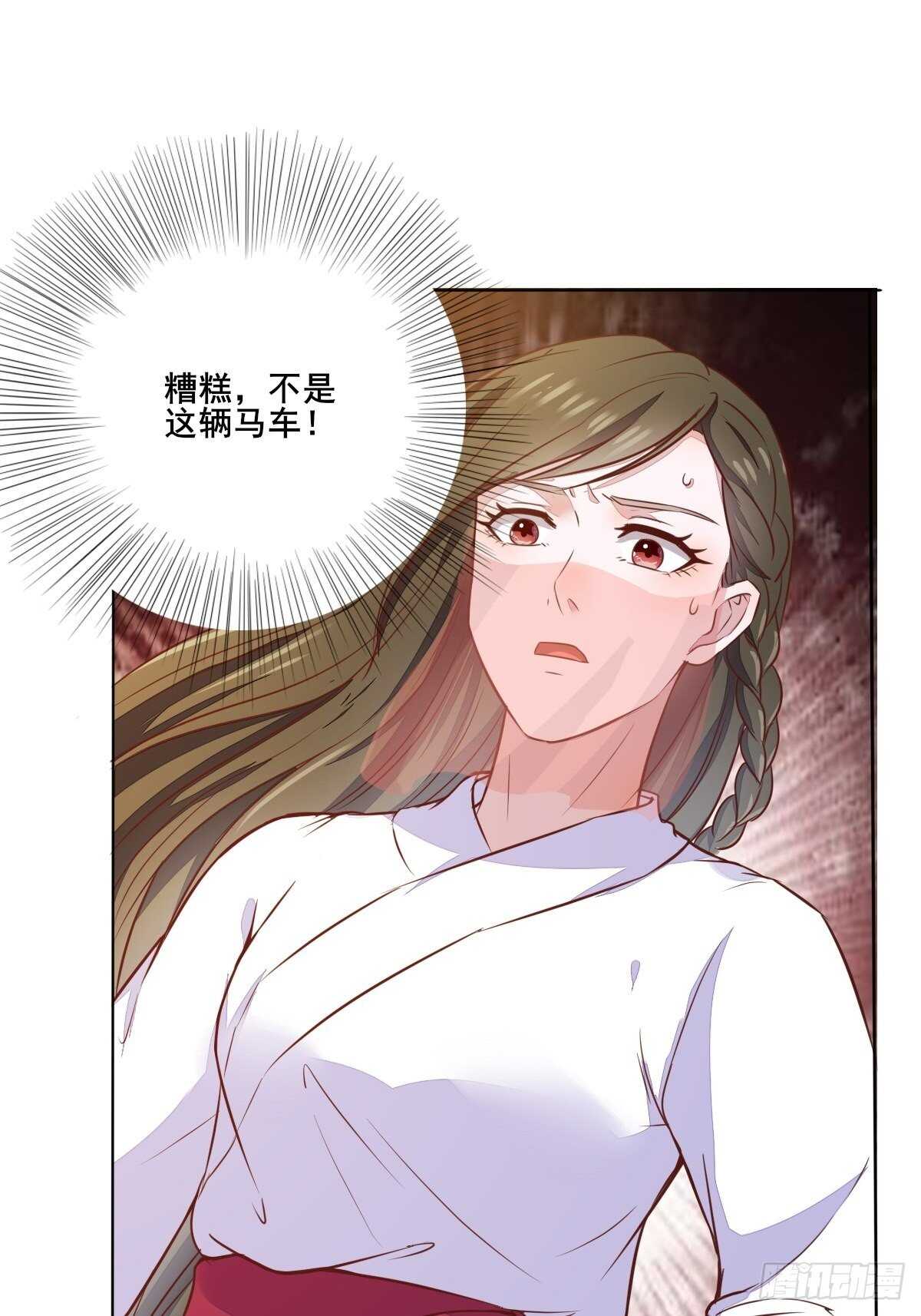 《神医弃女鬼帝的驭兽狂妃》第101话 叶母被追杀 第6页