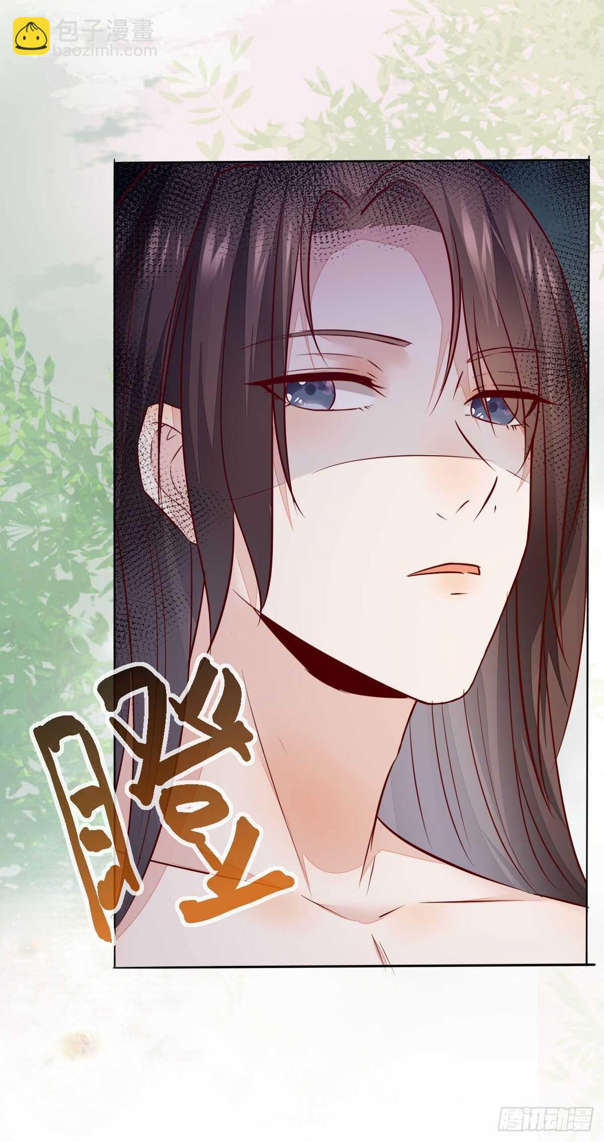 《神医弃女鬼帝的驭兽狂妃》第103话 我只为你绾发 第13页