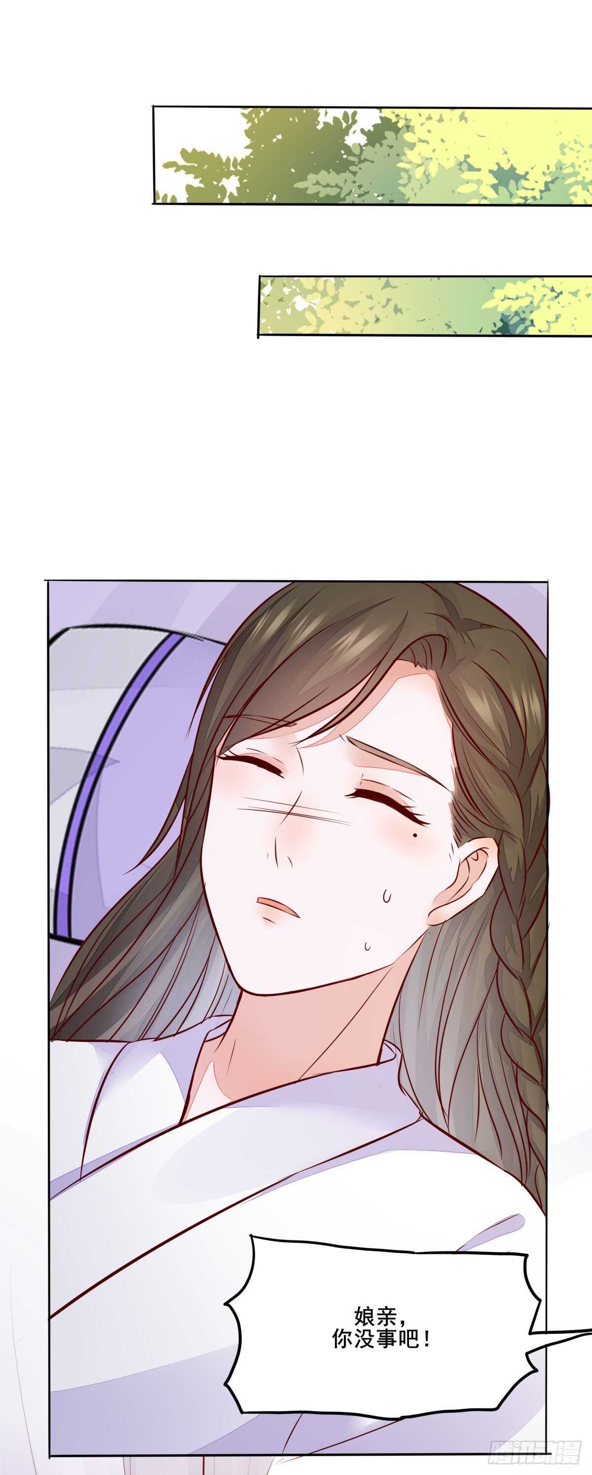 《神医弃女鬼帝的驭兽狂妃》第103话 我只为你绾发 第30页