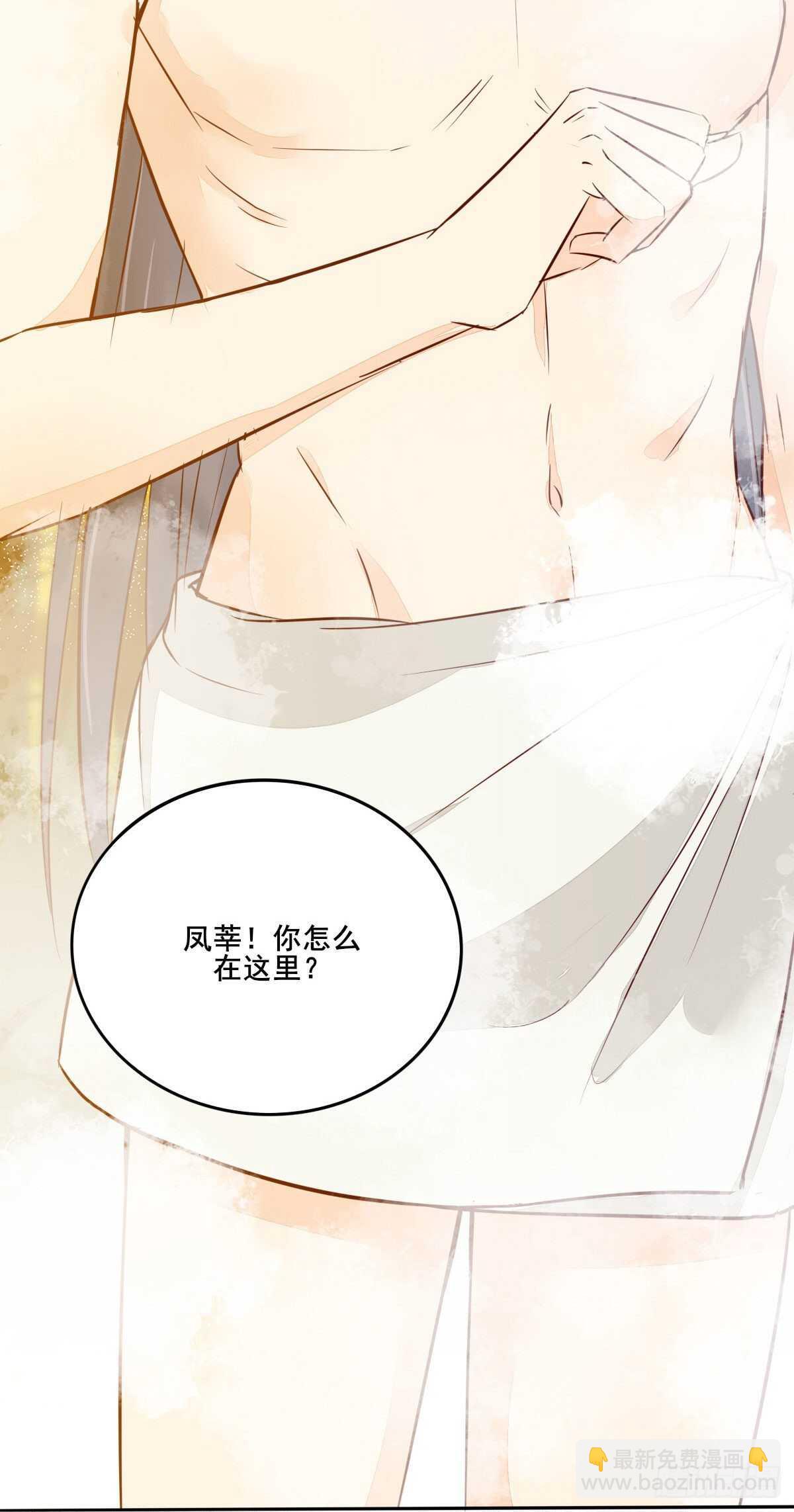 《神医弃女鬼帝的驭兽狂妃》第102话 凤莘湿身的诱惑 第29页
