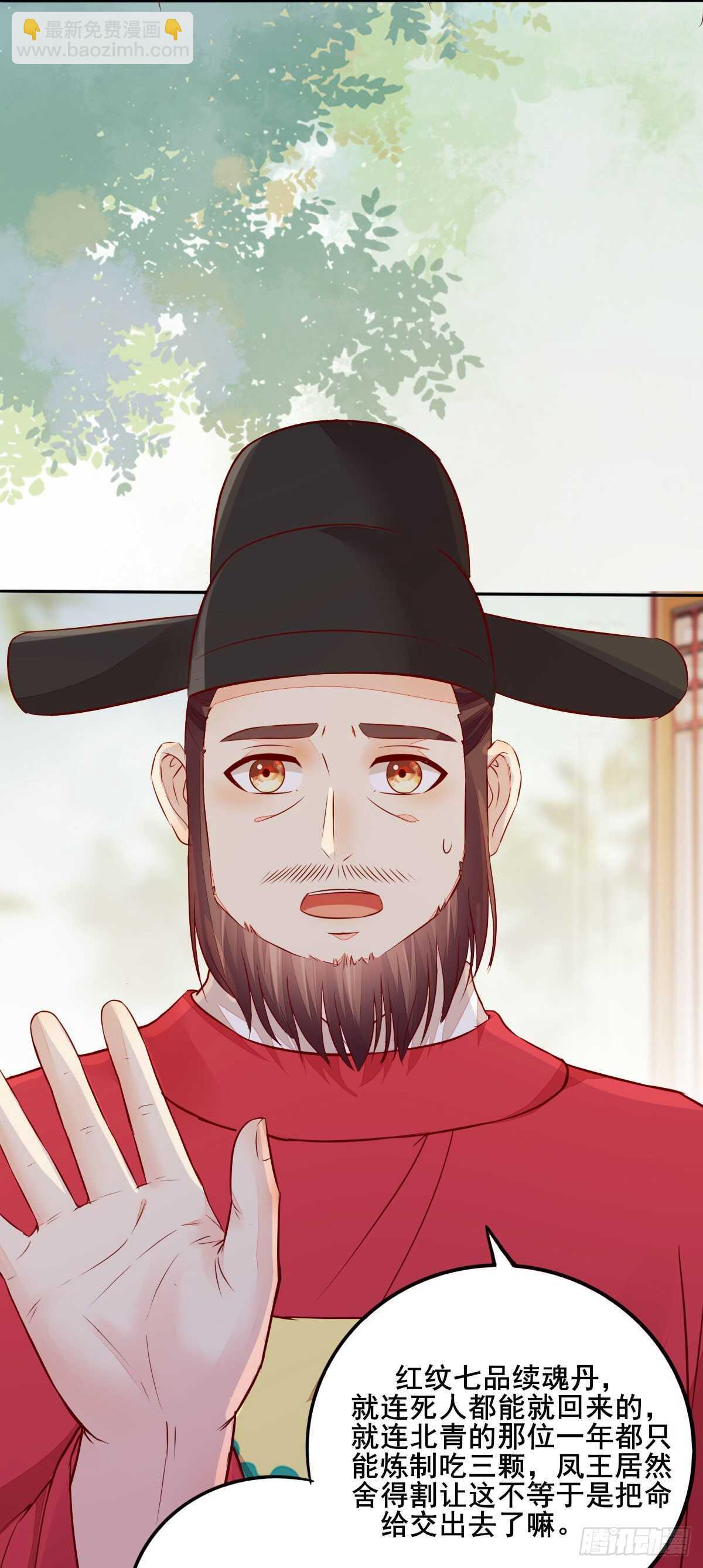 《神医弃女鬼帝的驭兽狂妃》第105话 凤王对凌月有意 第24页