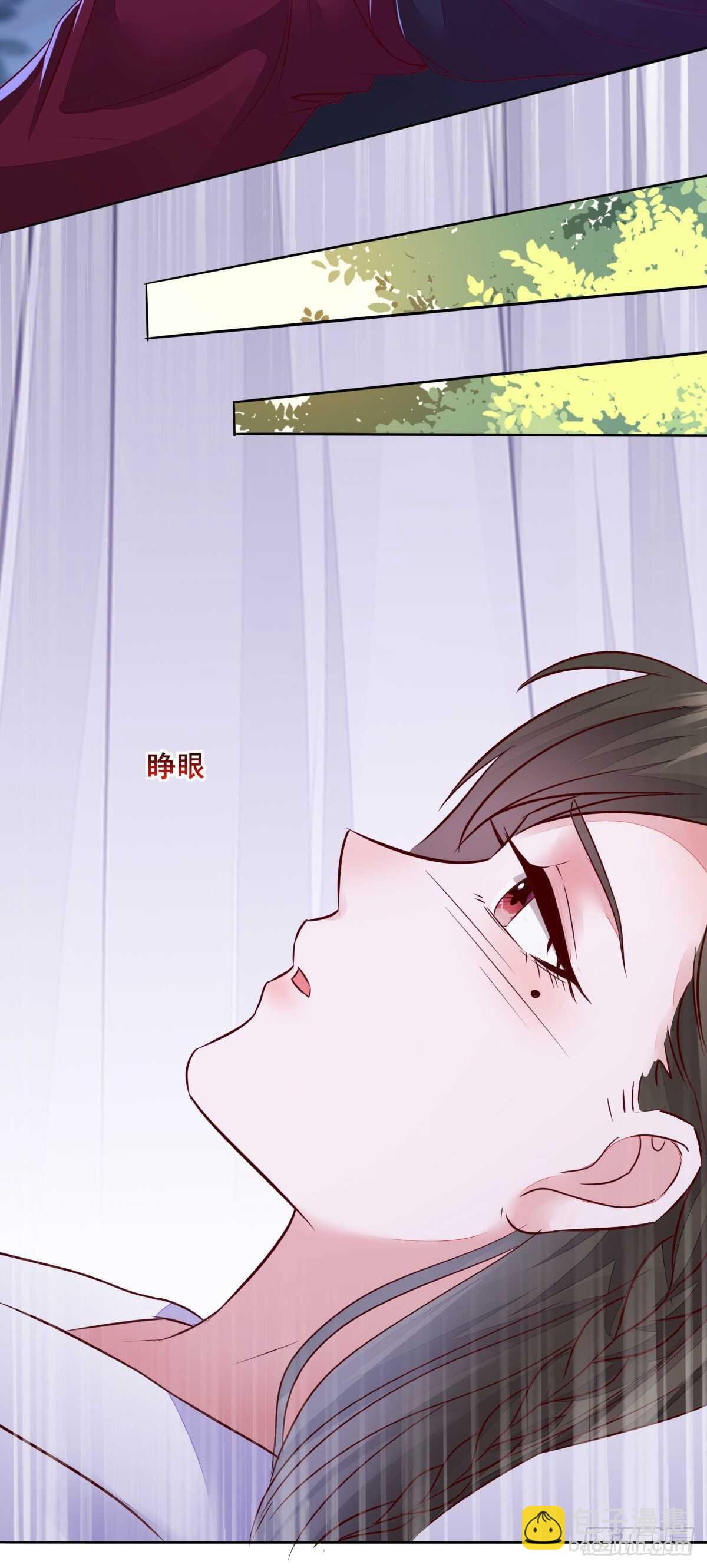 《神医弃女鬼帝的驭兽狂妃》第107话 叶母断发 第27页