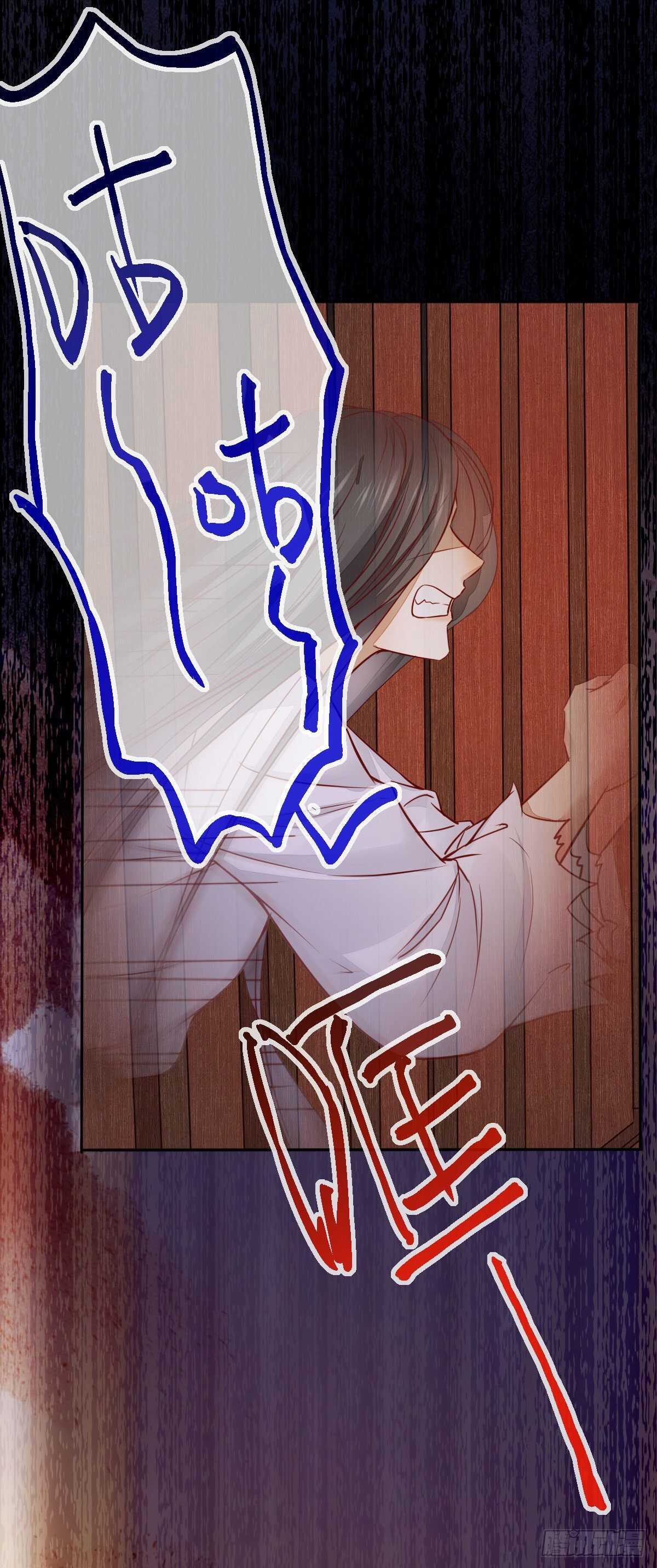 《神医弃女鬼帝的驭兽狂妃》第113话 六皇子发癔症 第32页