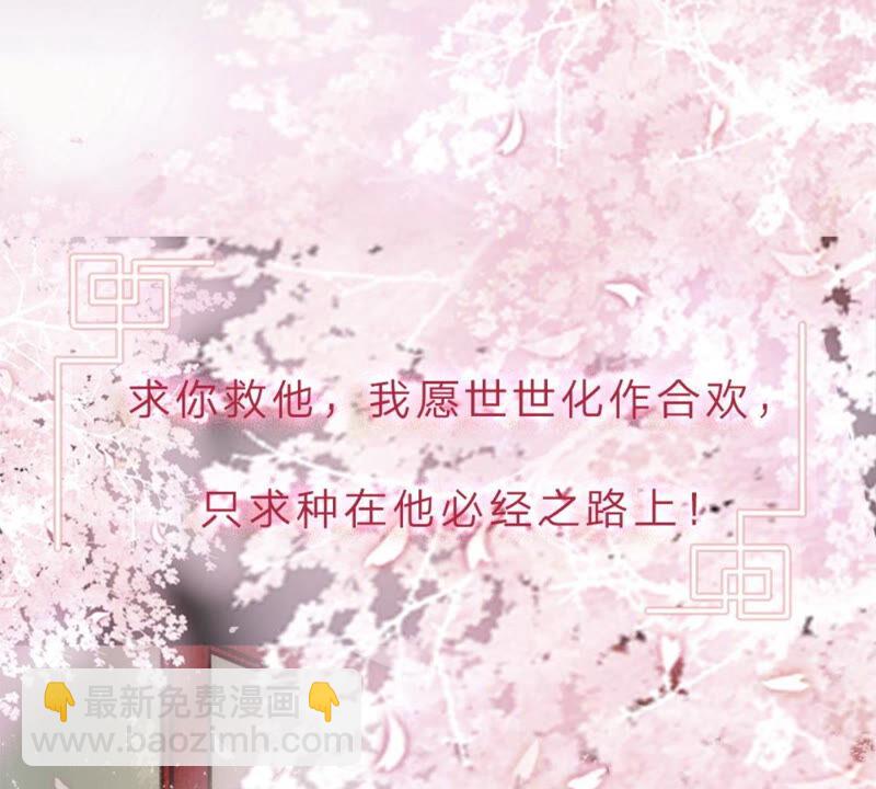 《王牌校草爱的三分线》一念合欢为君开推荐 第12页
