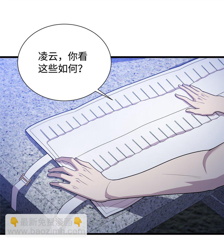 《龙皇武神》30 神医赠针 第18页