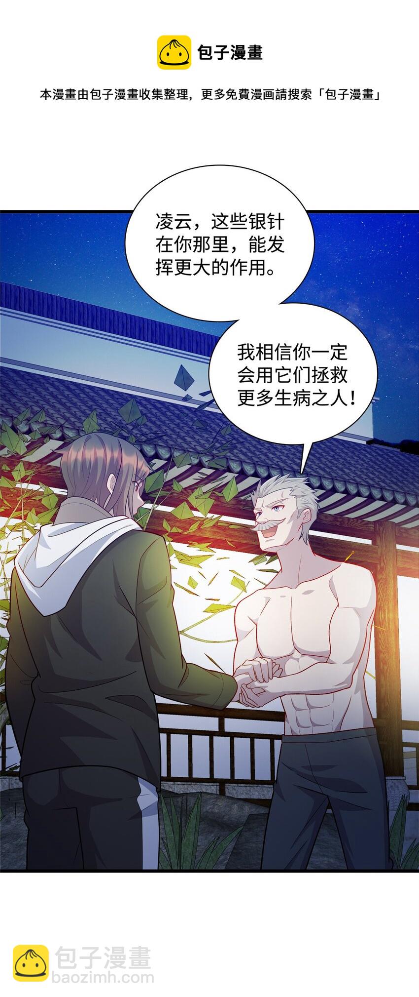 《龙皇武神》30 神医赠针 第21页