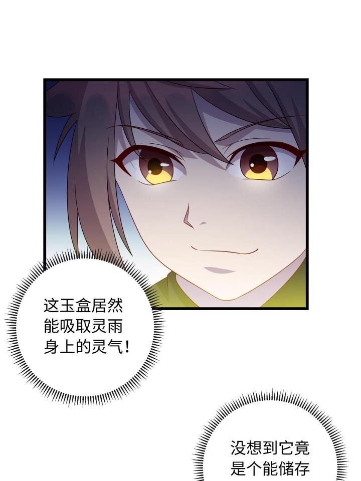 《龙皇武神》49 灵雨与灵枢 第42页
