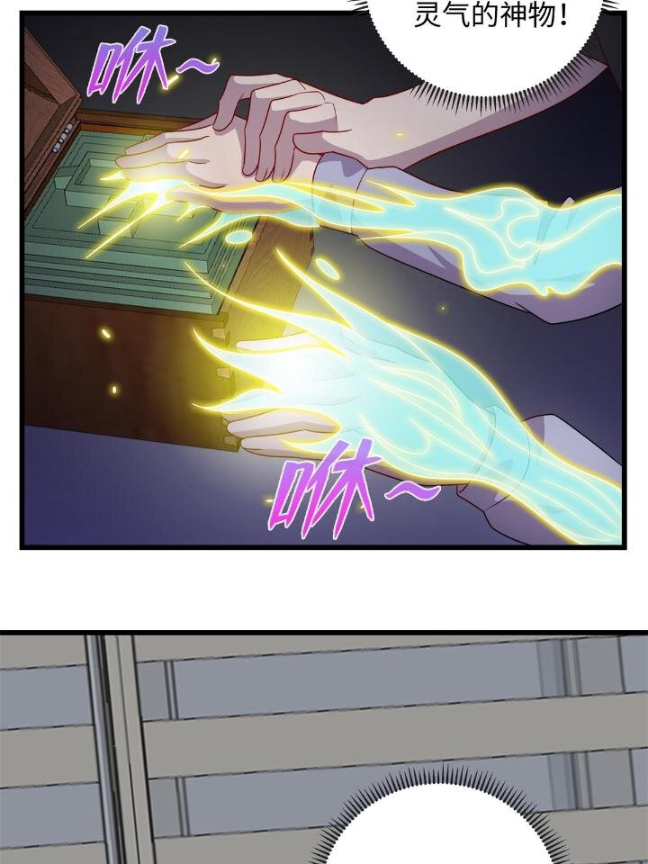 《龙皇武神》49 灵雨与灵枢 第43页