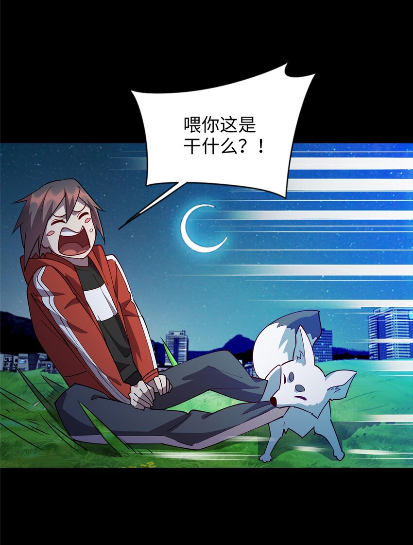 《龙皇武神》105 灵狐小白 第26页