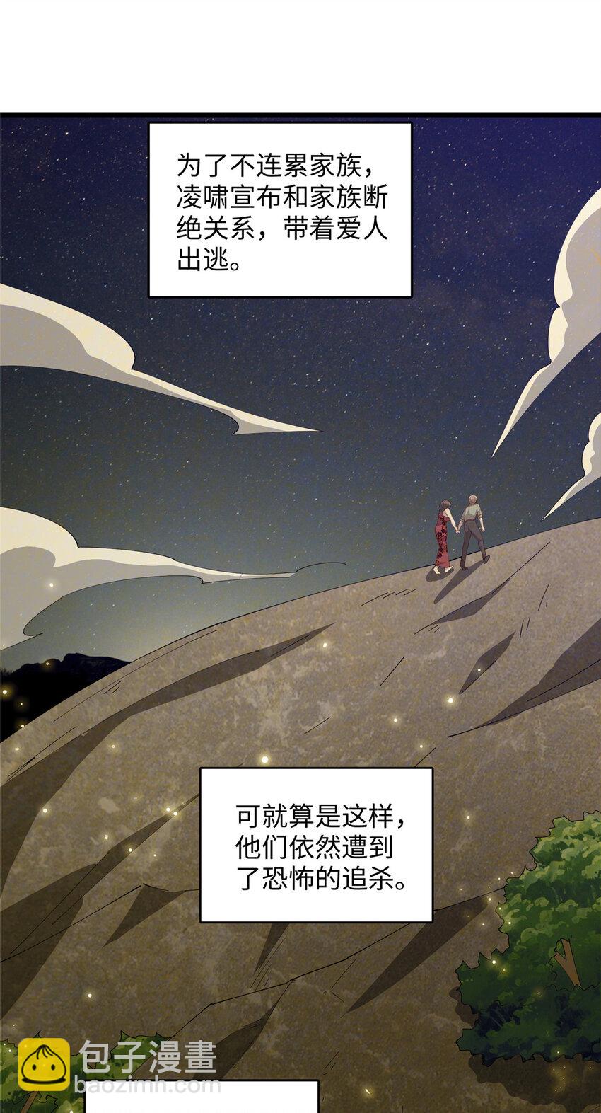 《龙皇武神》111 凌家秘辛 第12页