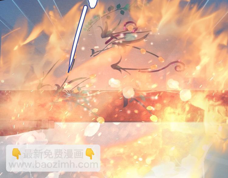 《魔君大人，夫人又暴走了！》第33话 为你甘当随从 第46页
